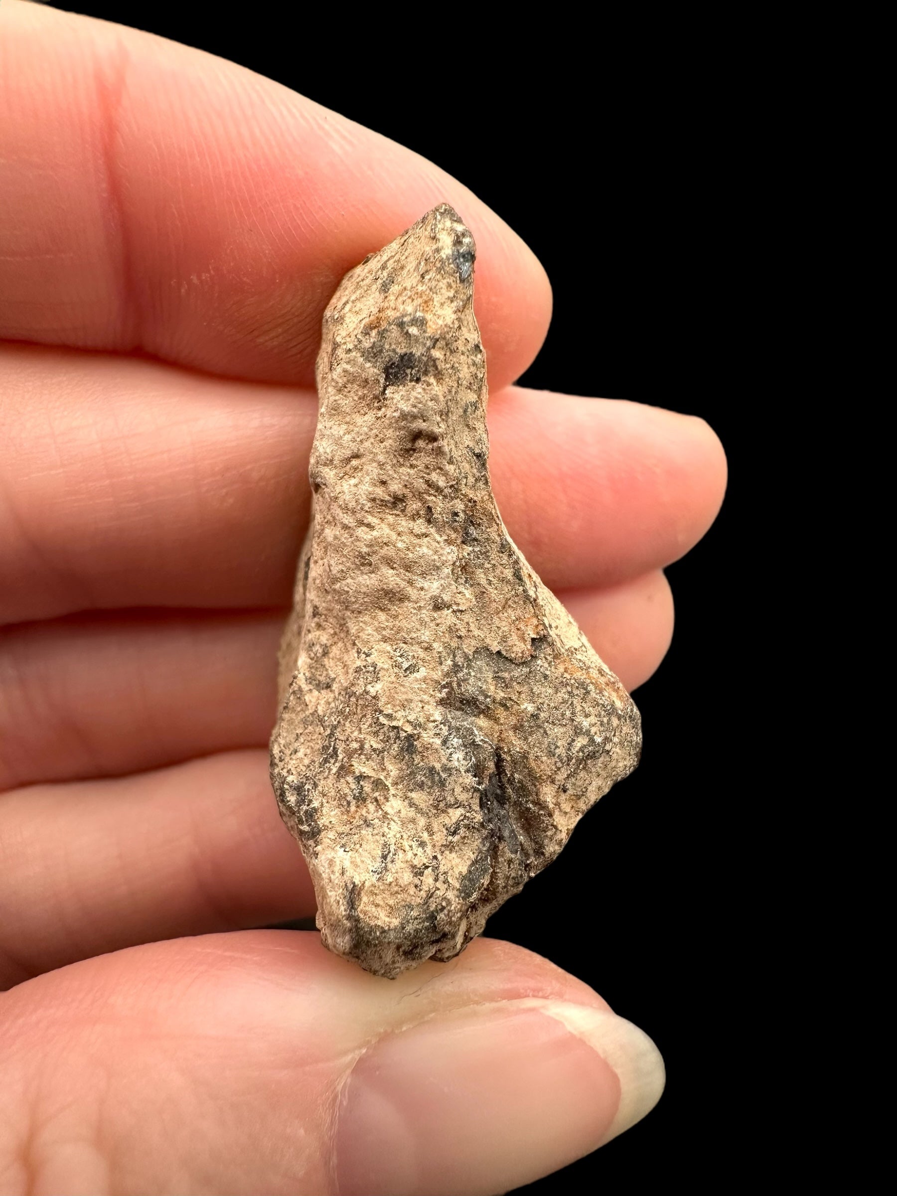 Meteorite Canyon Diablo 25,3g – Arizona, USA - MECD43