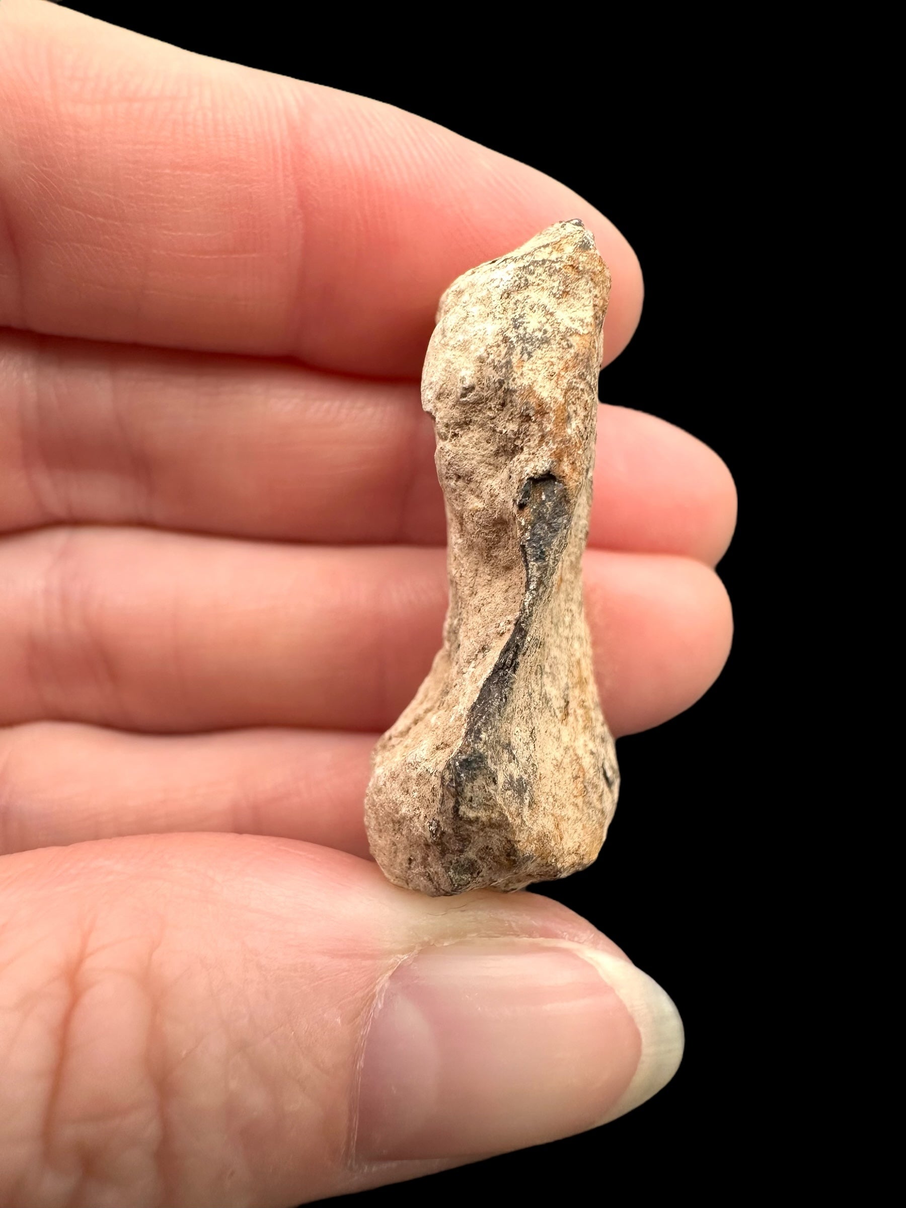 Meteorite Canyon Diablo 25,6g – Arizona, USA - MECD46