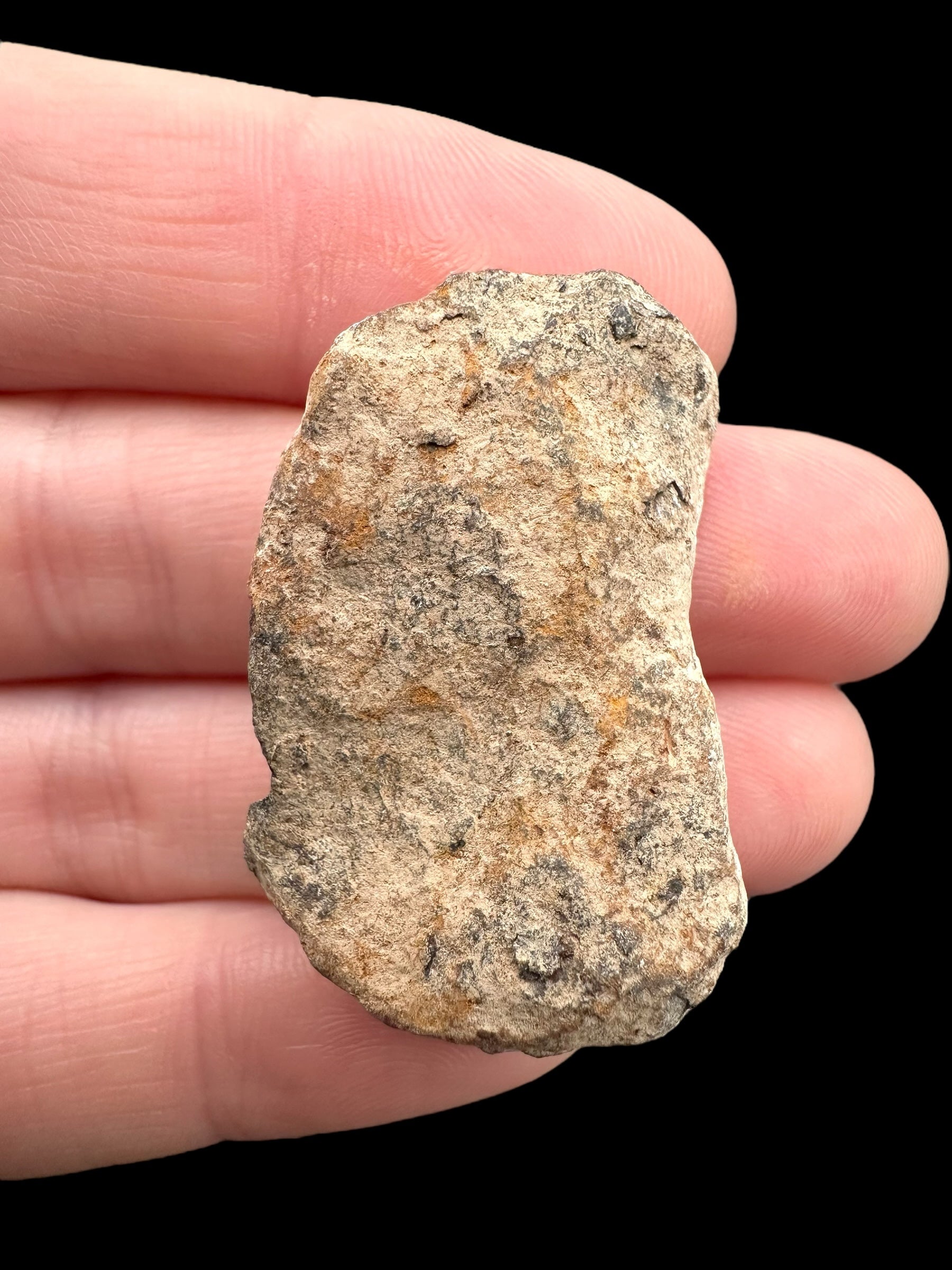 Meteorite Canyon Diablo 25,6g – Arizona, USA