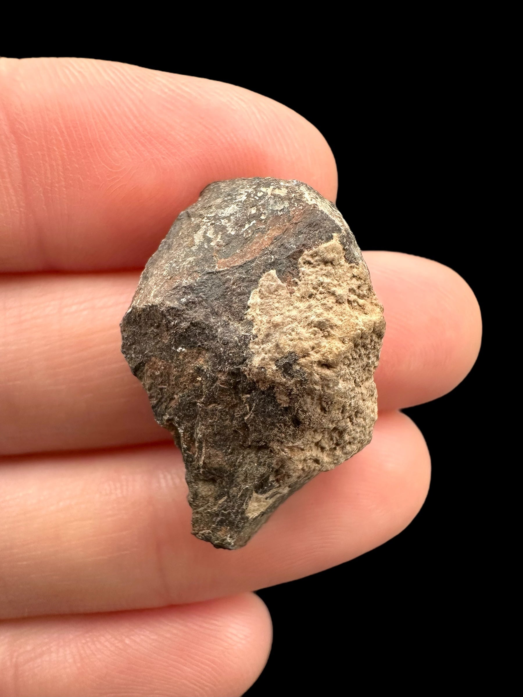 Meteorite Canyon Diablo 9,1g – Arizona, USA - MECD47