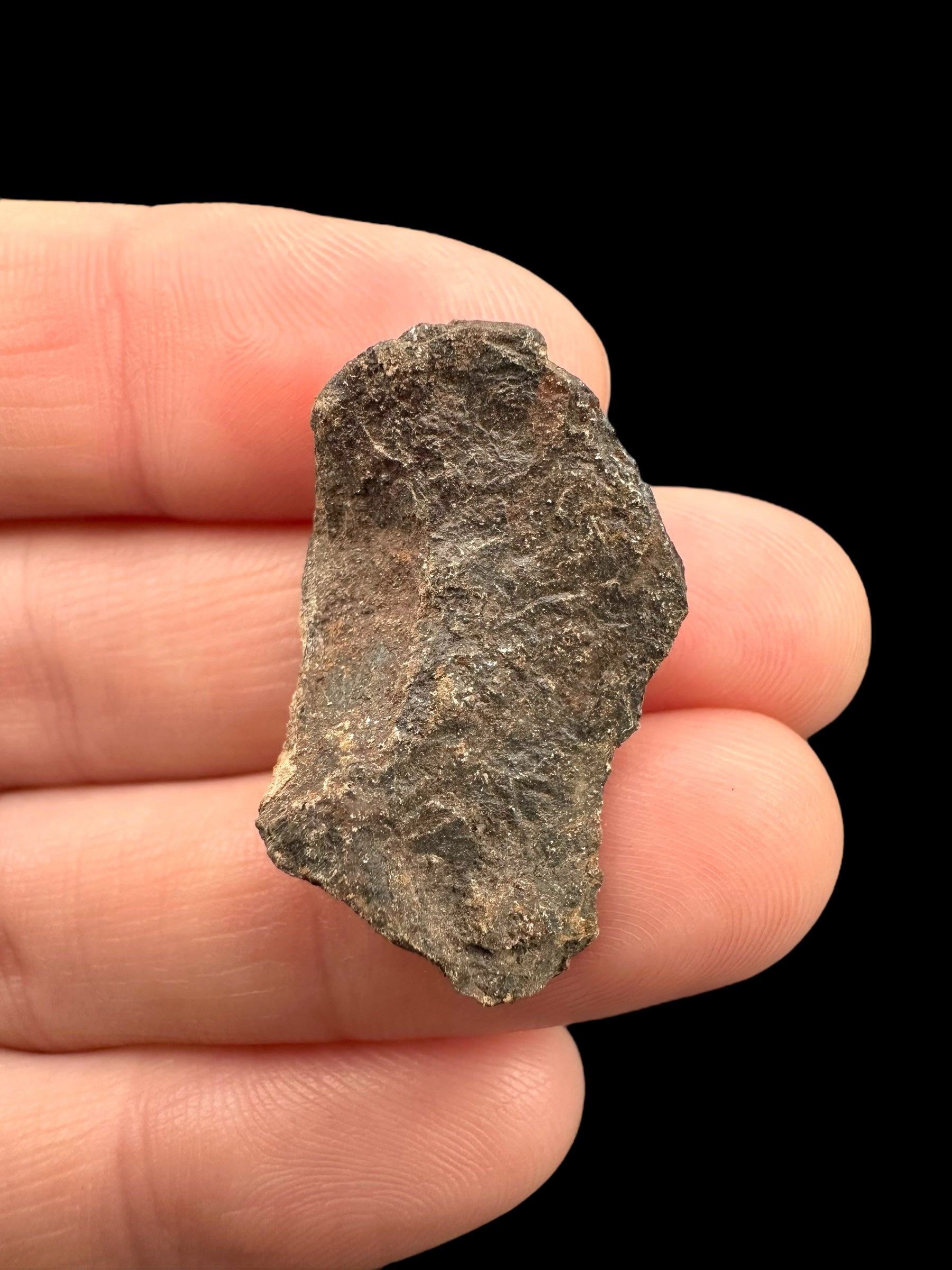 Meteorite Canyon Diablo 9,1g – Arizona, USA
