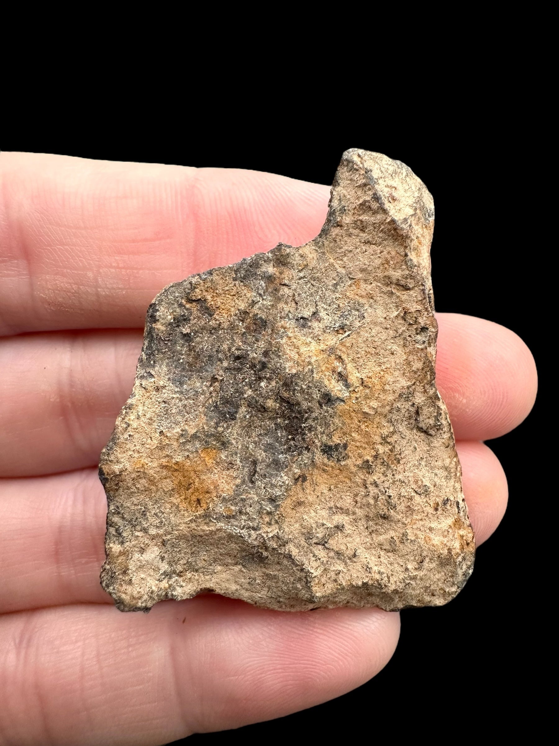 Meteorite Canyon Diablo 26,2g – Arizona, USA - MECD48