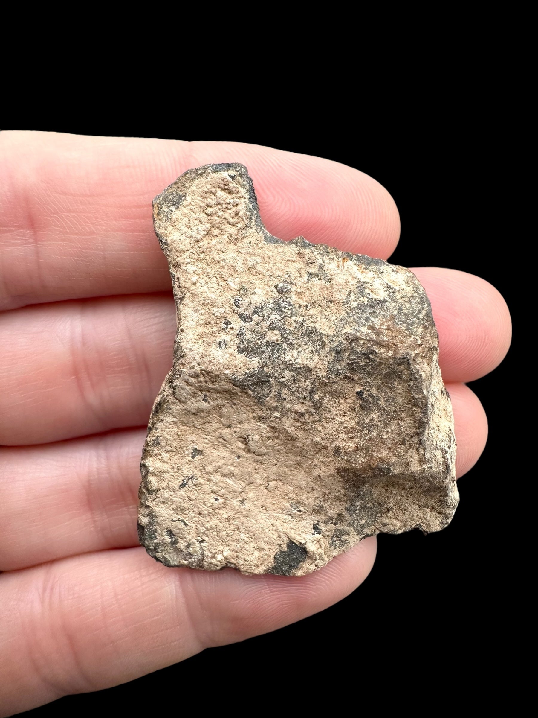 Meteorite Canyon Diablo 26,2g – Arizona, USA
