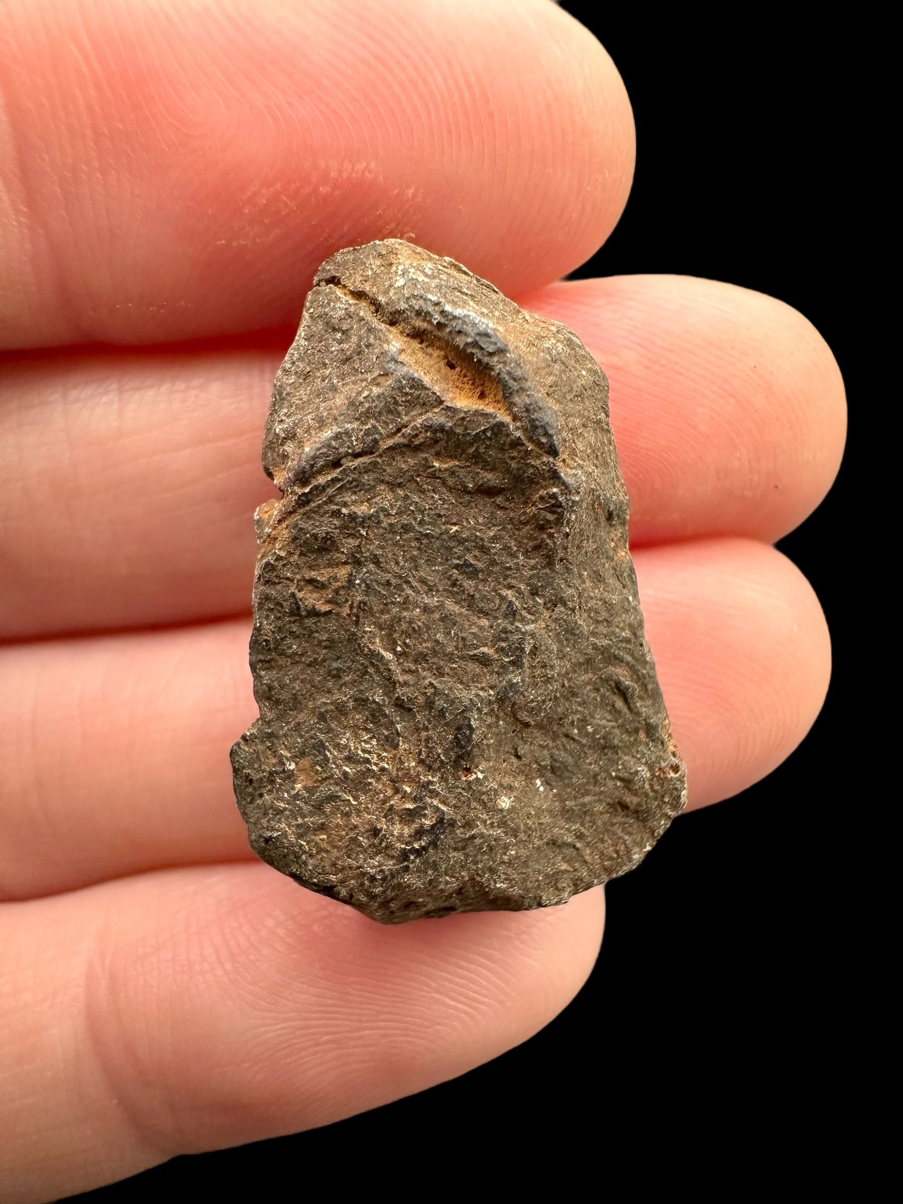 Meteorite Canyon Diablo 9,1g – Arizona, USA - MECD49