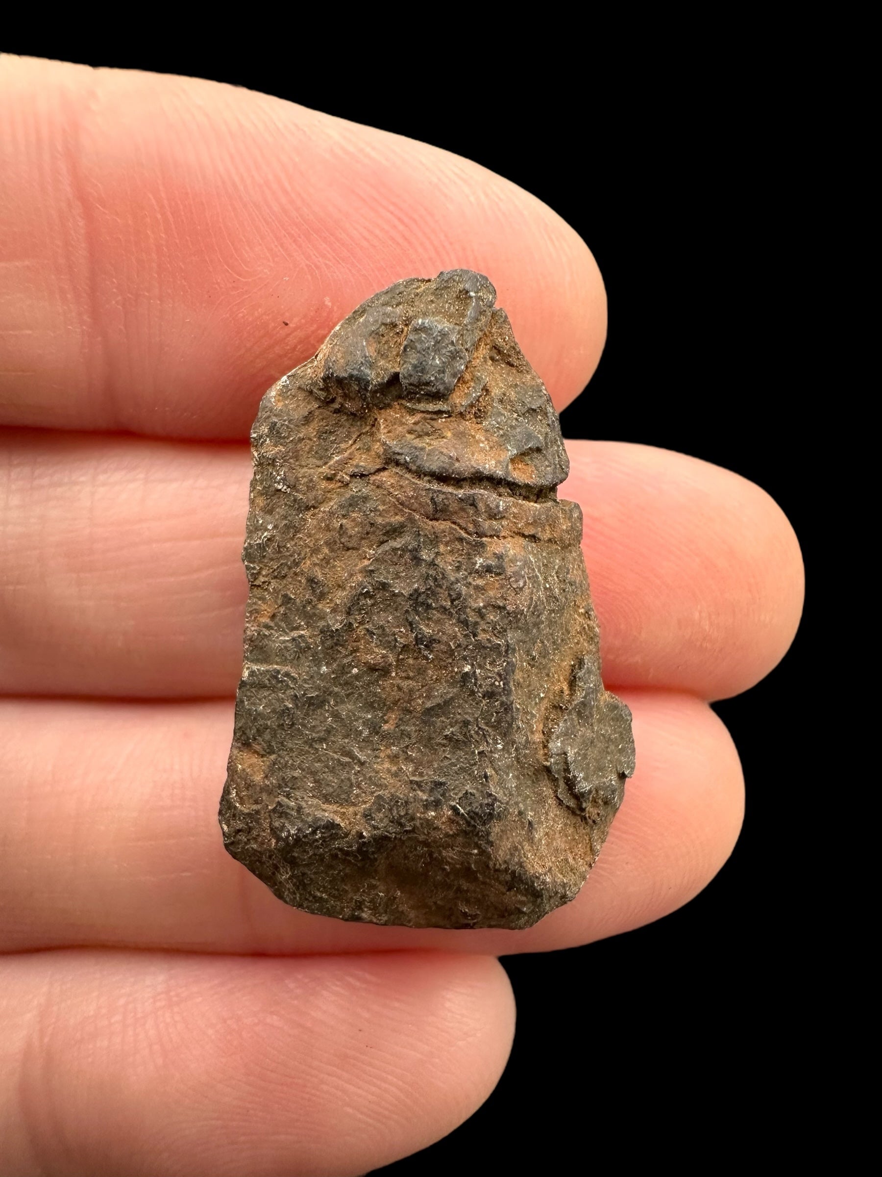 Meteorite Canyon Diablo 9,1g – Arizona, USA