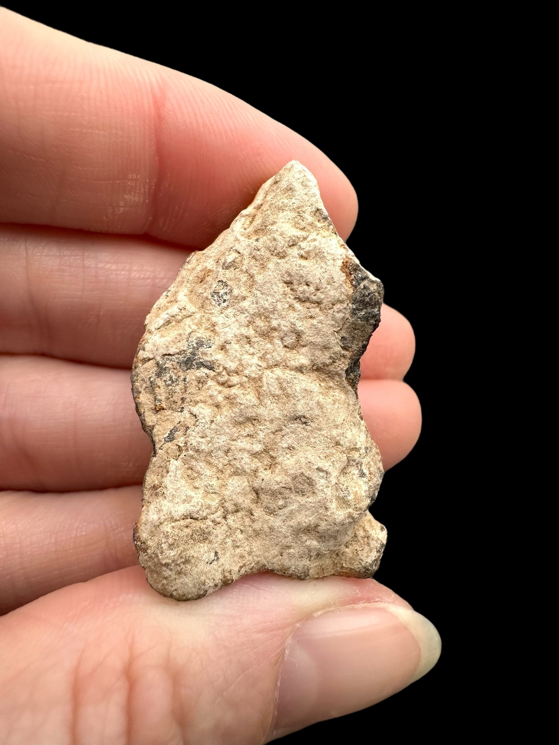 Meteorite Canyon Diablo 25,1g – Arizona, USA - MECD50