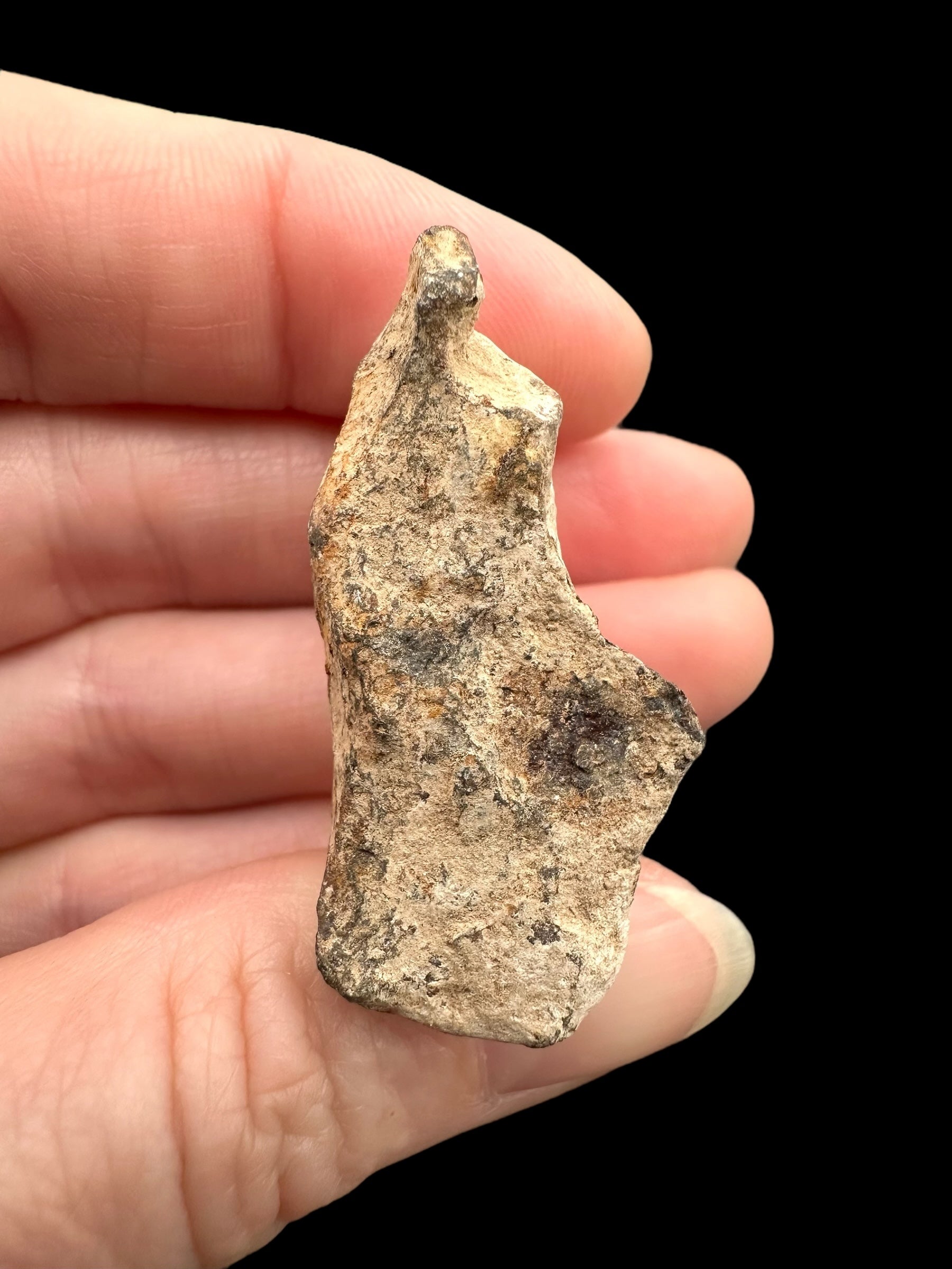 Meteorite Canyon Diablo 25,1g – Arizona, USA - MECD50