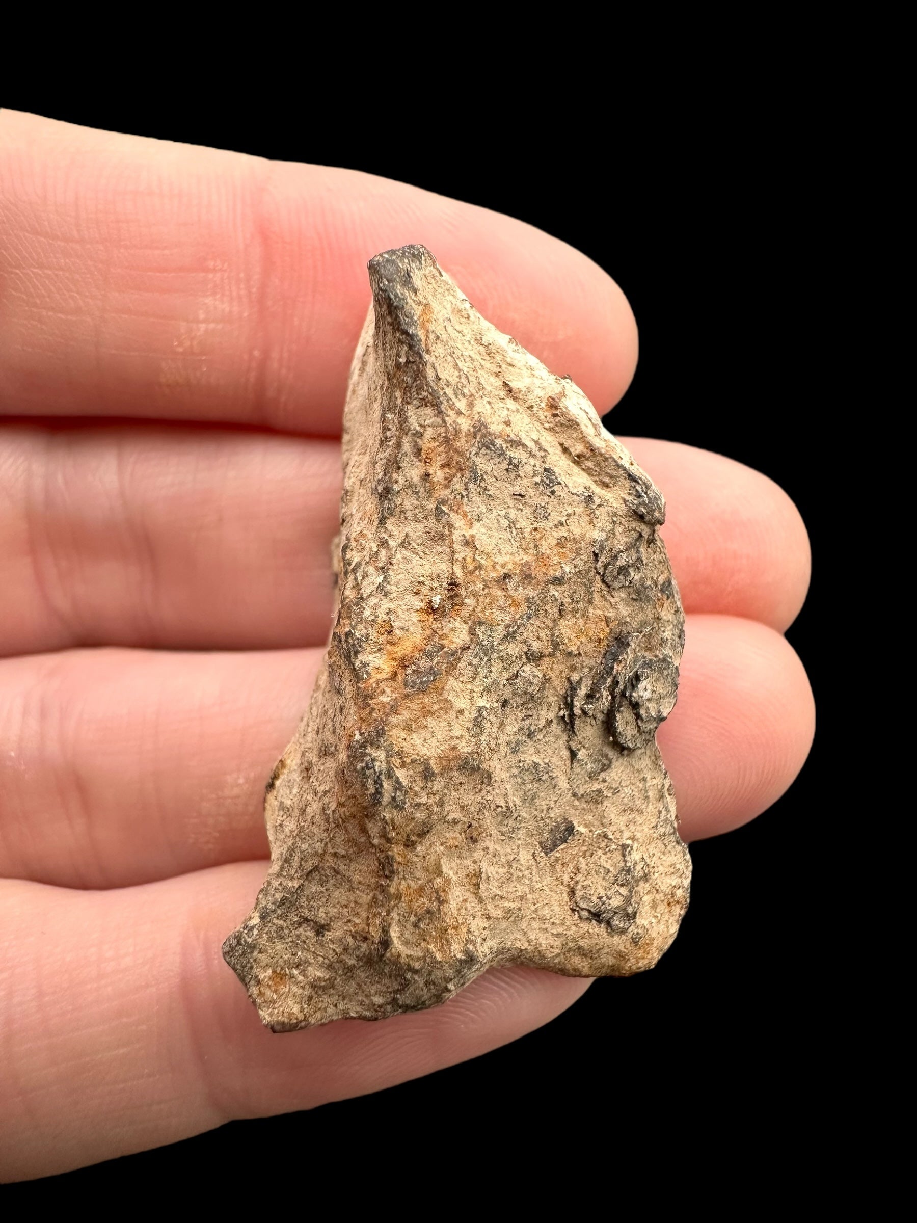 Meteorite Canyon Diablo 25,1g – Arizona, USA