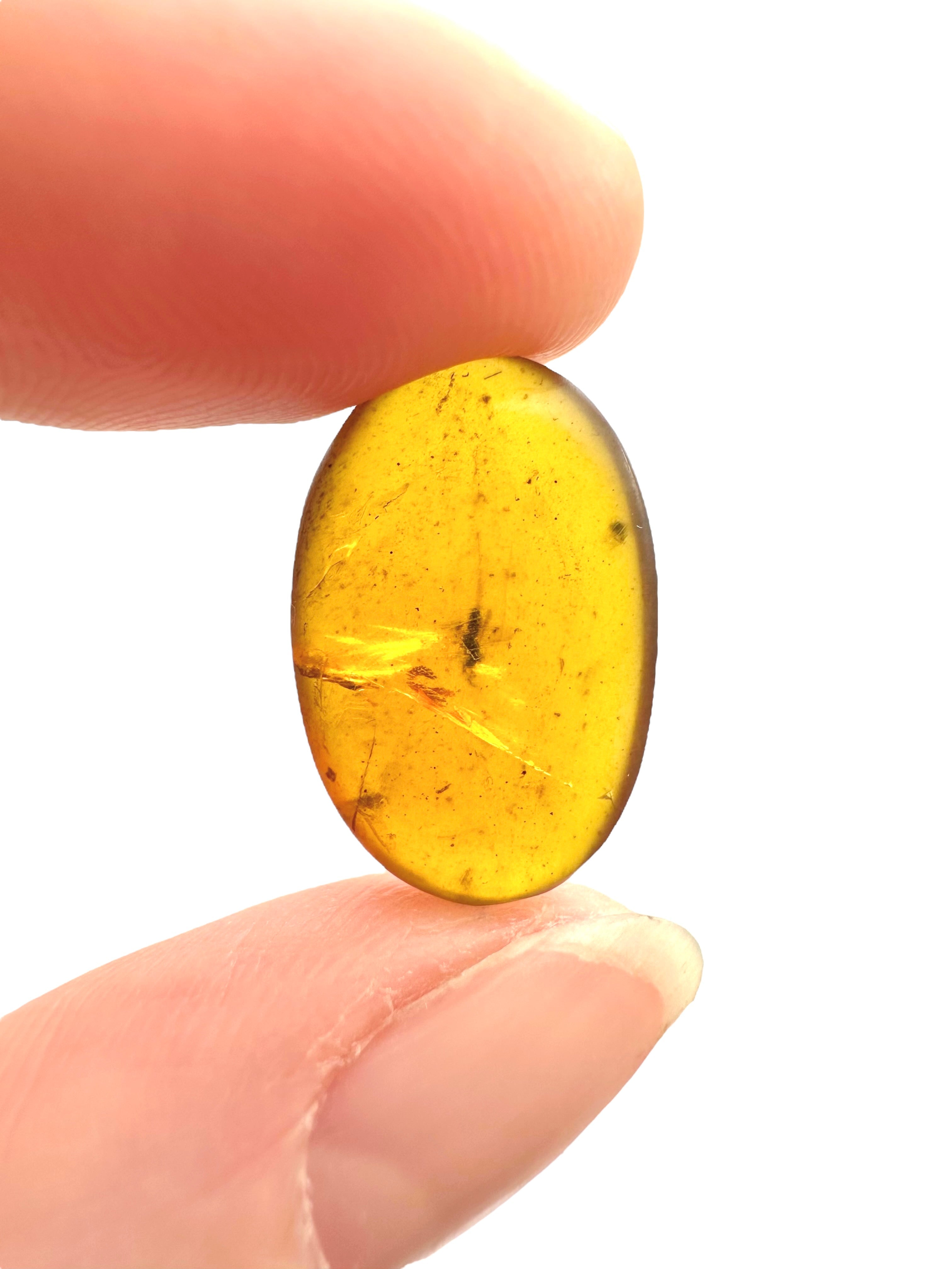 Insect in amber – Hukawng, Myanmar - IJ069