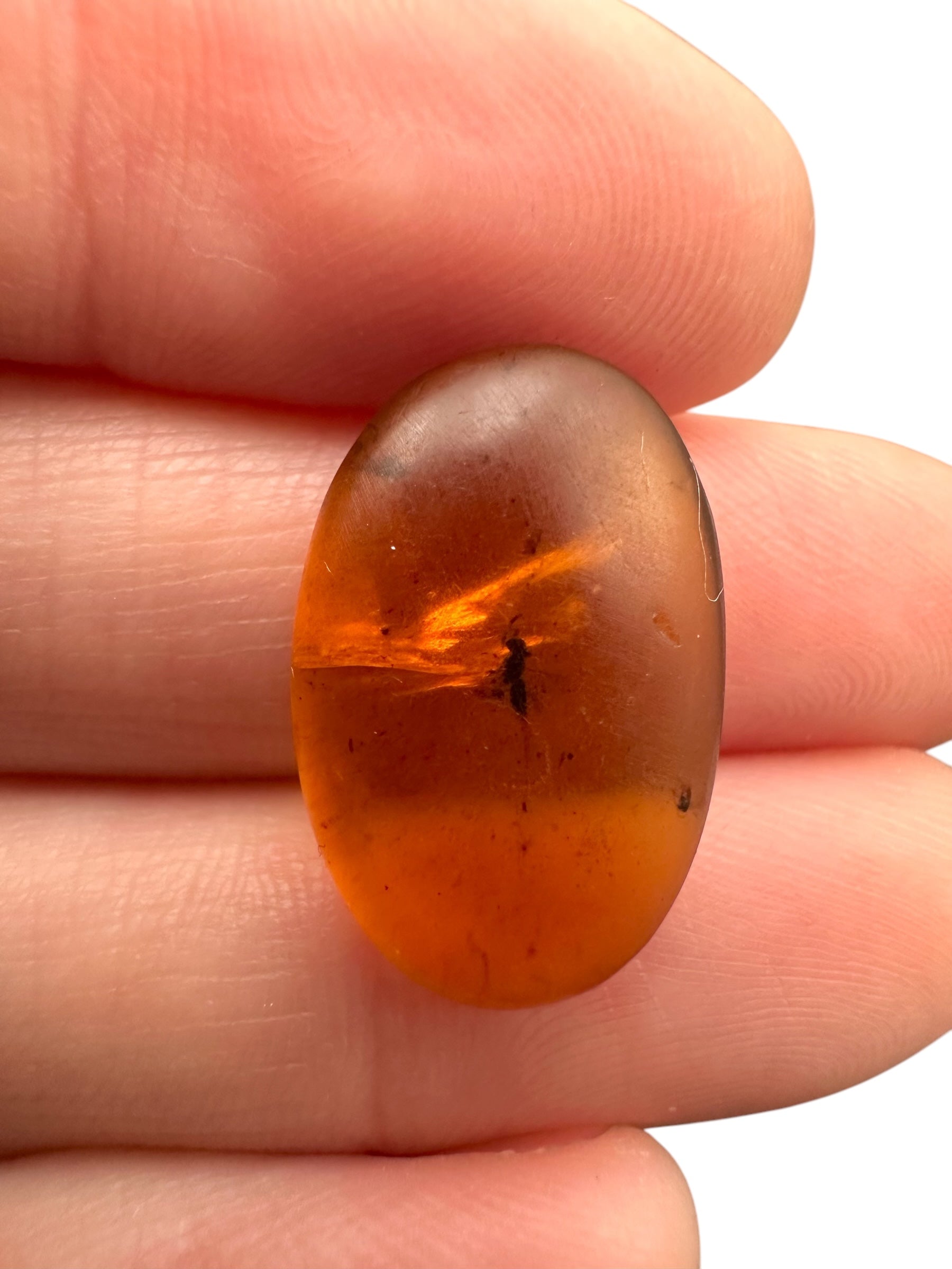 Insect in amber – Hukawng, Myanmar - IJ069