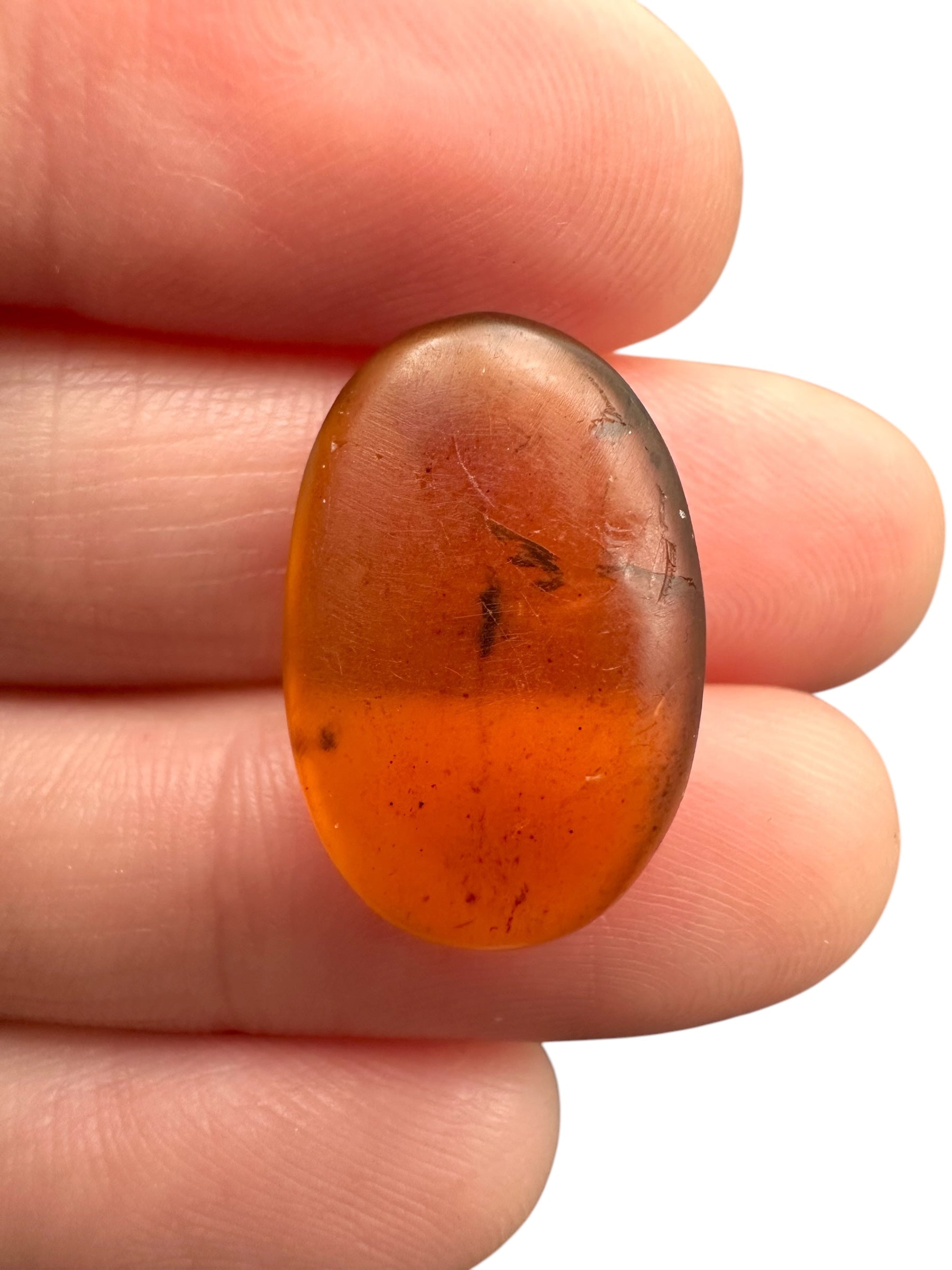 Insect in amber – Hukawng, Myanmar - IJ069