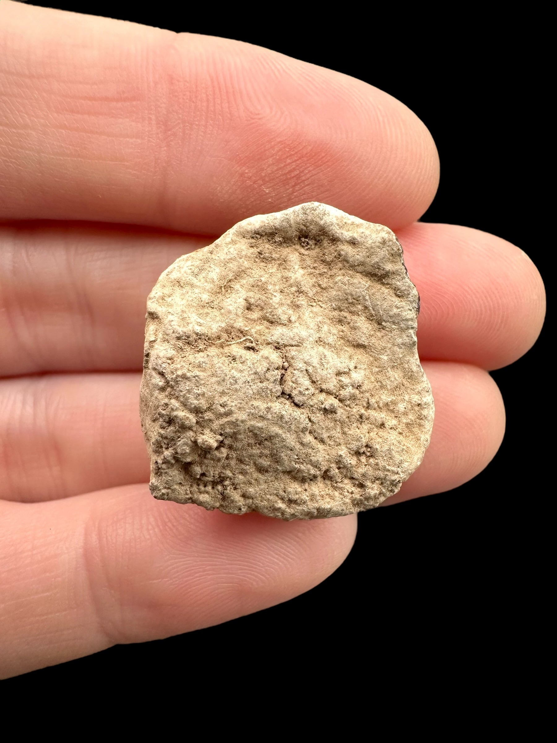 Meteorite Canyon Diablo 16,6g – Arizona, USA - MECD52