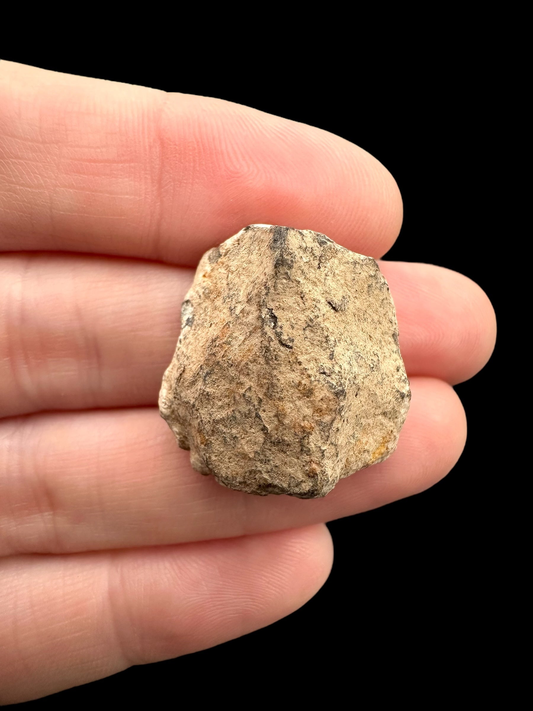 Meteorite Canyon Diablo 16,6g – Arizona, USA