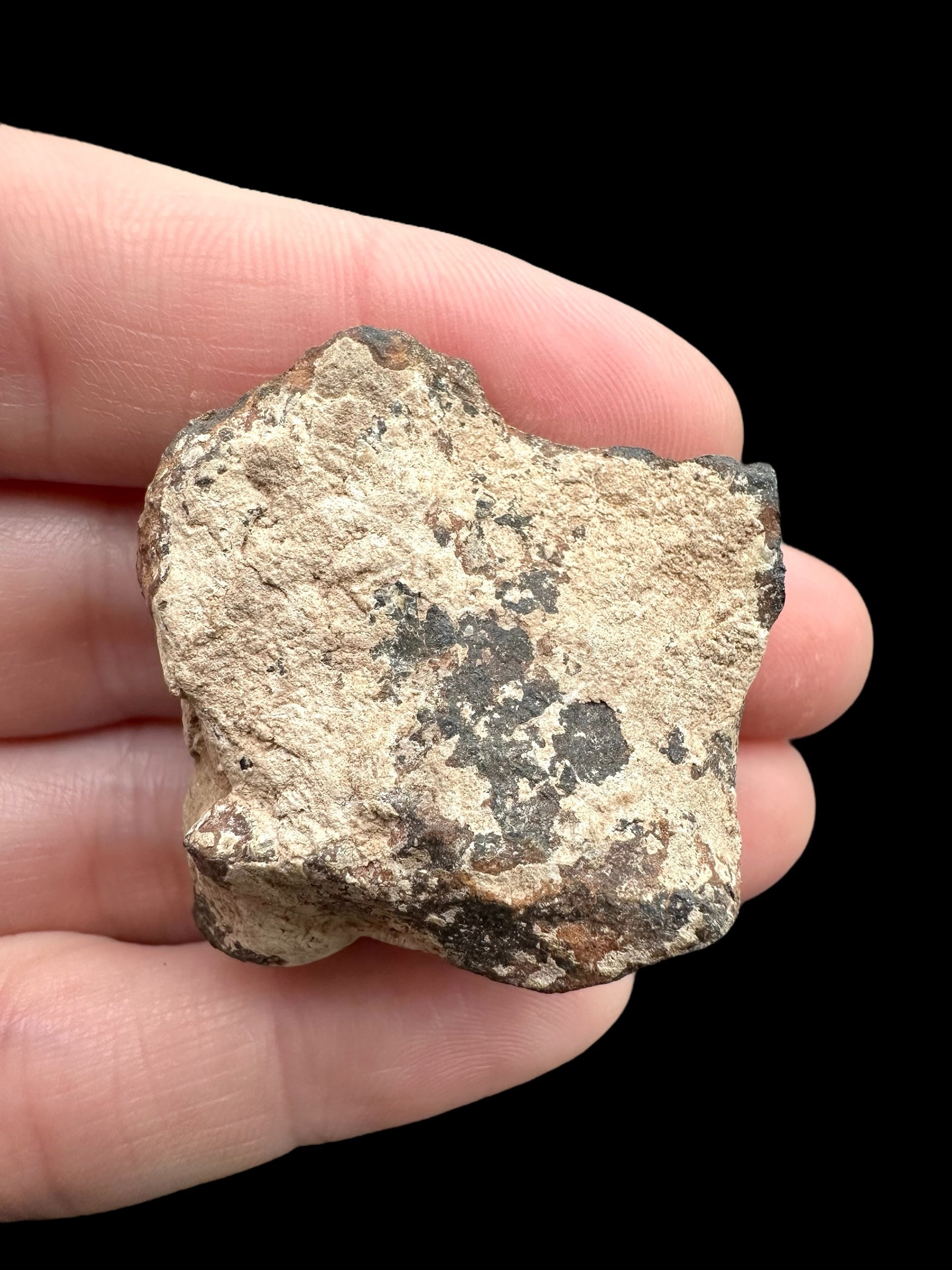 Meteorite Canyon Diablo 52,6g – Arizona, USA - MECD53