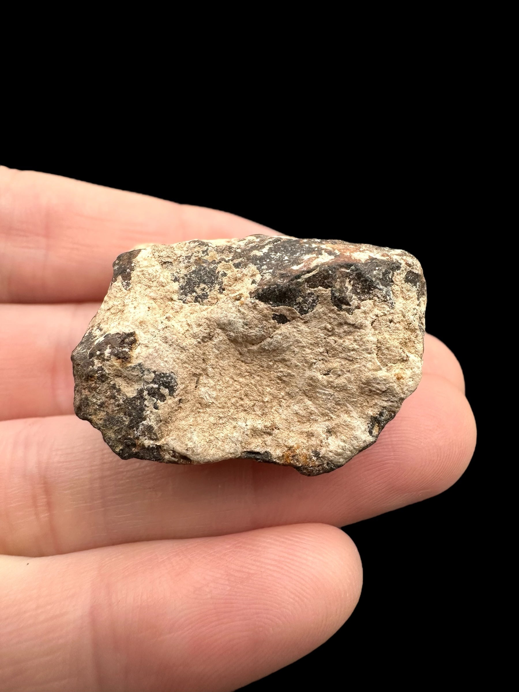 Meteorite Canyon Diablo 52,6g – Arizona, USA - MECD53