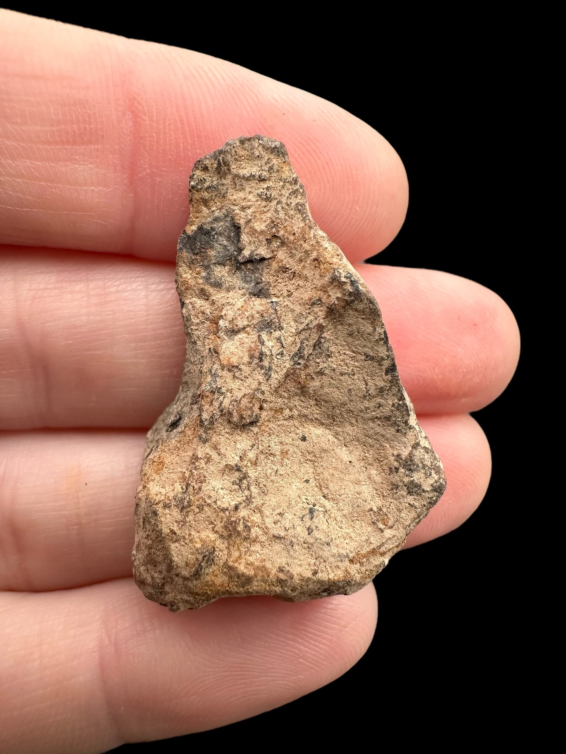 Meteorite Canyon Diablo 16,2g – Arizona, USA - MECD54