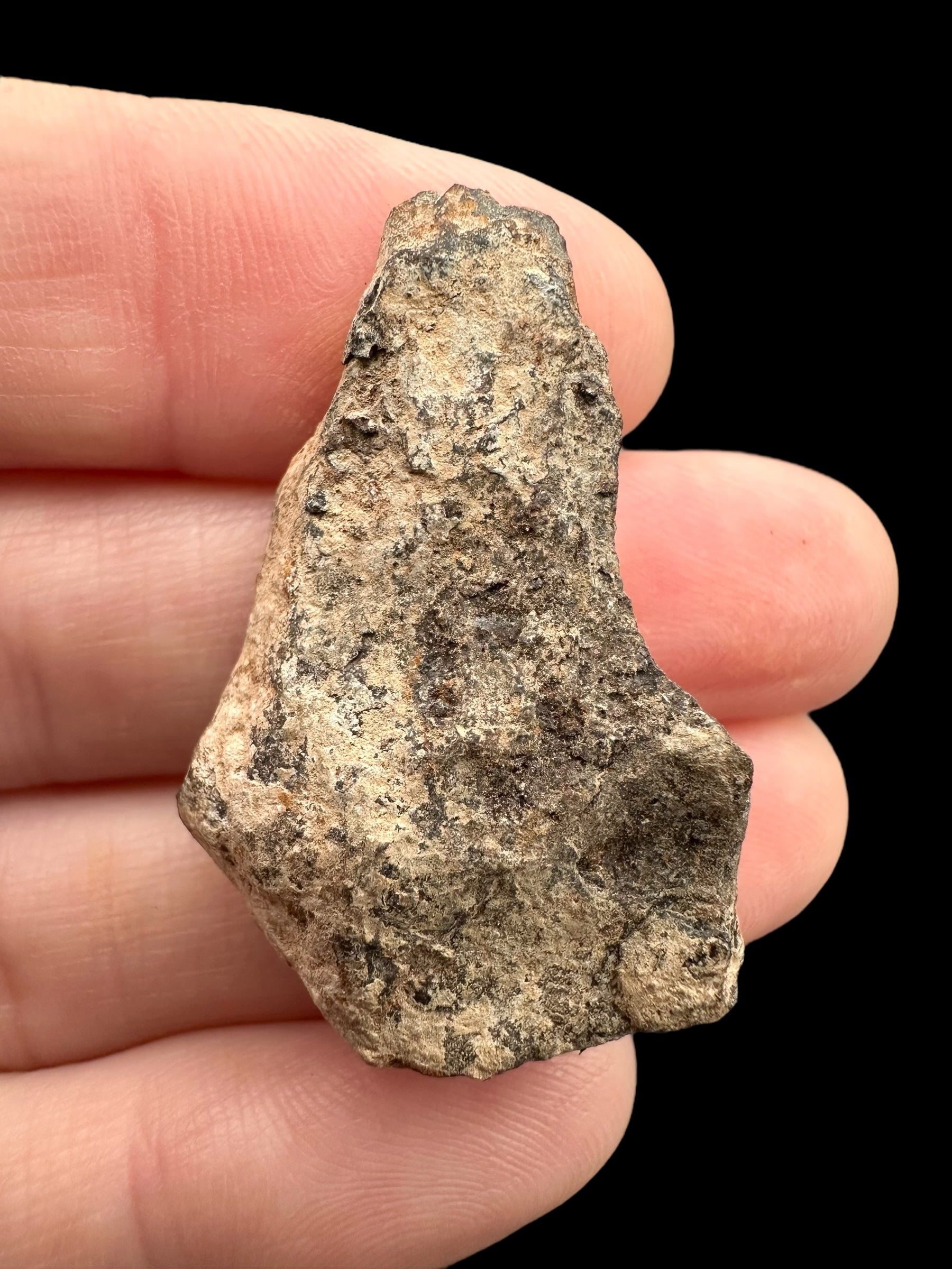 Meteorite Canyon Diablo 16,2g – Arizona, USA