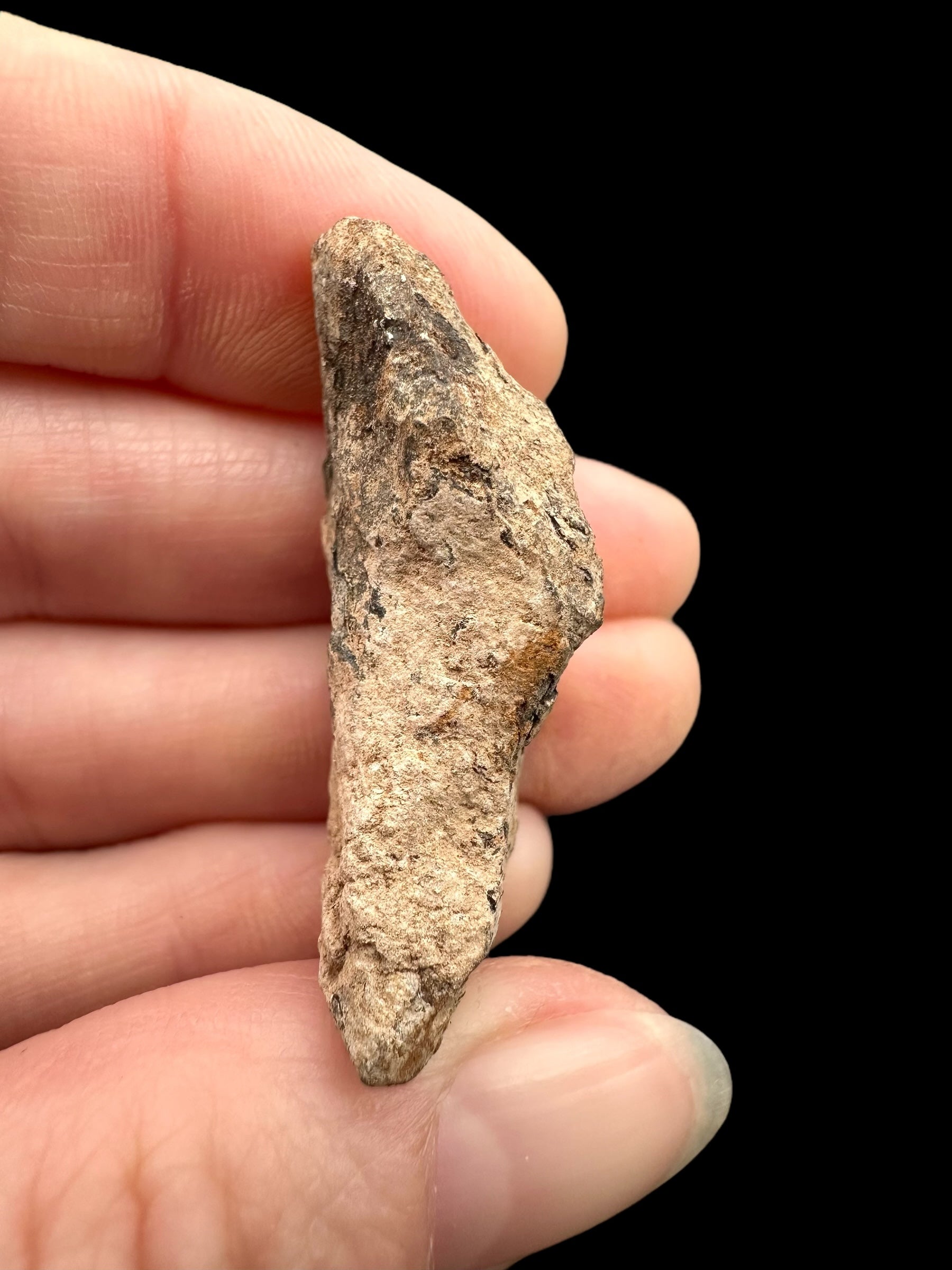Meteorite Canyon Diablo 20,7g – Arizona, USA - MECD56