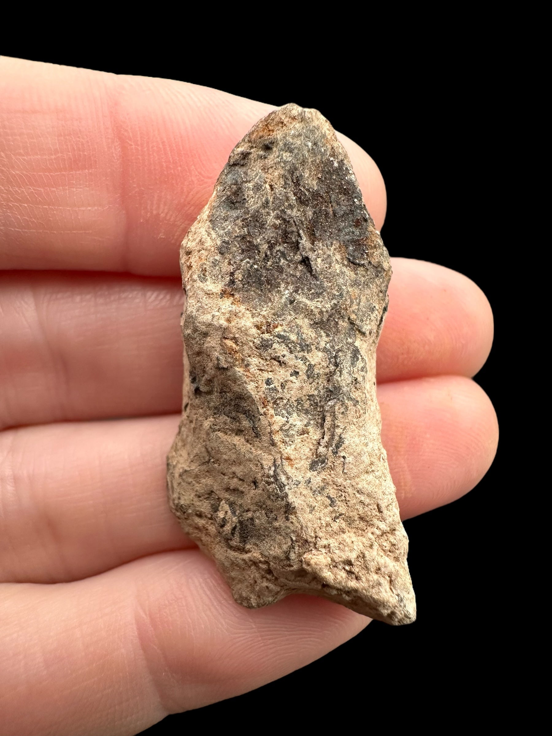Meteorite Canyon Diablo 20,7g – Arizona, USA - MECD56