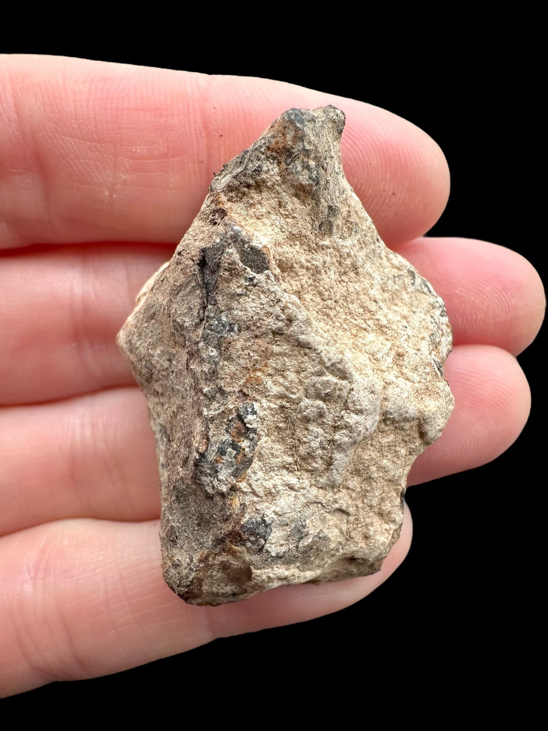 Meteorite Canyon Diablo 45,5g – Arizona, USA - MECD60