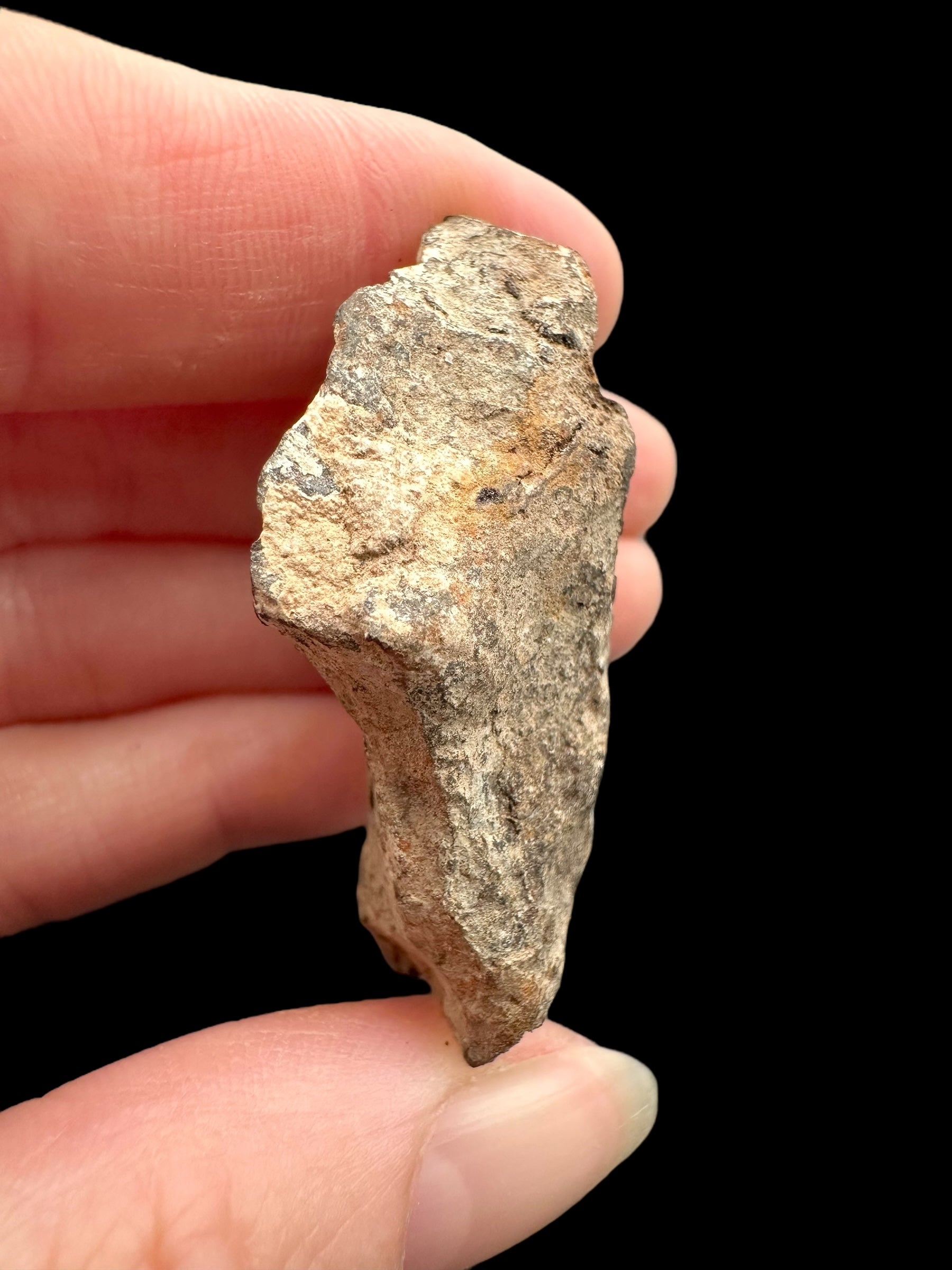 Meteorite Canyon Diablo 45,5g – Arizona, USA - MECD60