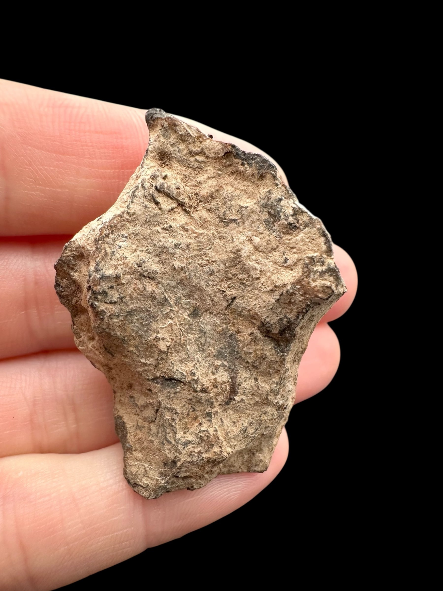 Meteorite Canyon Diablo 45,5g – Arizona, USA