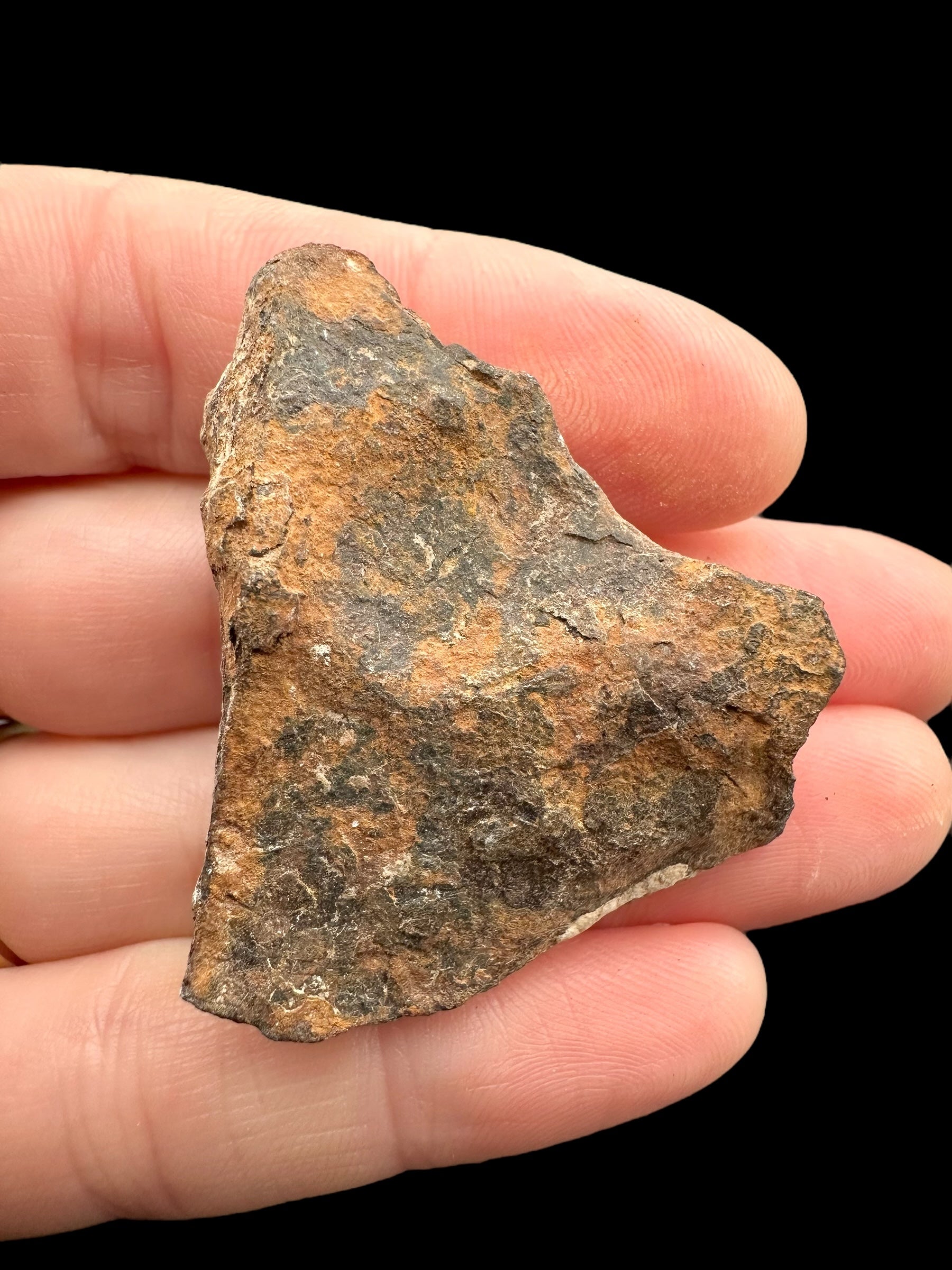 Meteorite Canyon Diablo 48,3g – Arizona, USA - MECD62