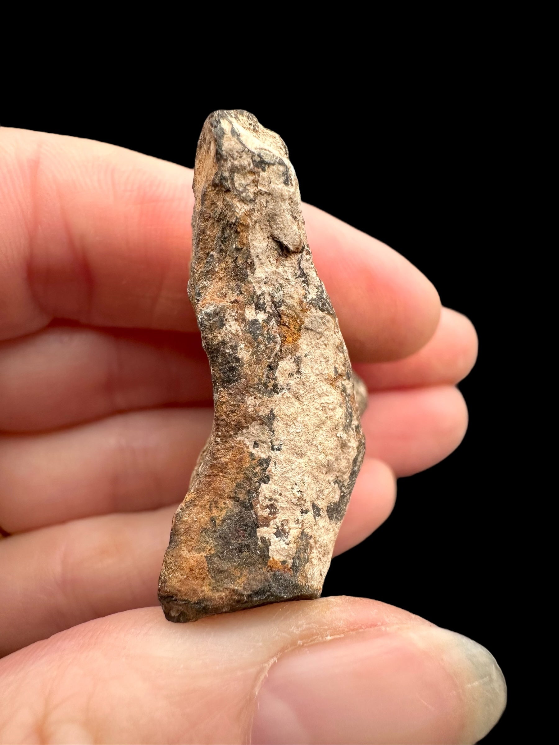 Meteorite Canyon Diablo 48,3g – Arizona, USA - MECD62
