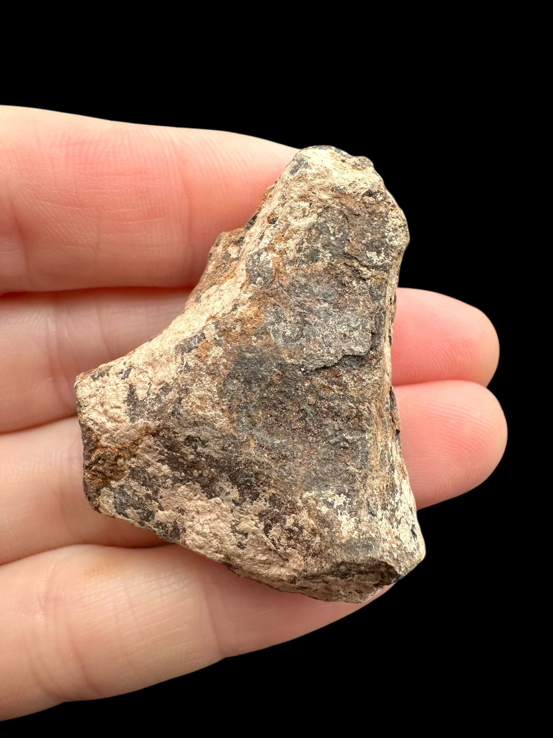 Meteorite Canyon Diablo 48,3g – Arizona, USA