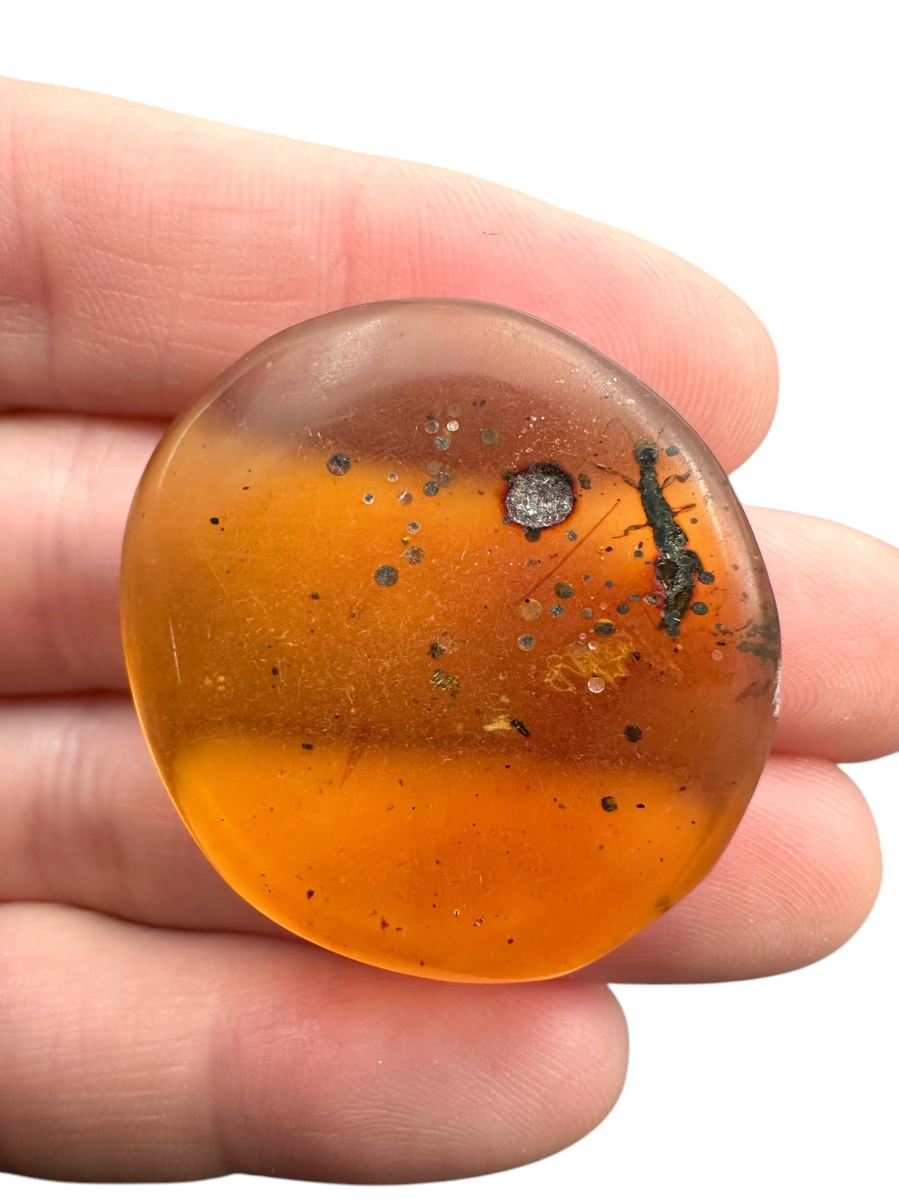 Insect in amber – Hukawng, Myanmar - IJ078