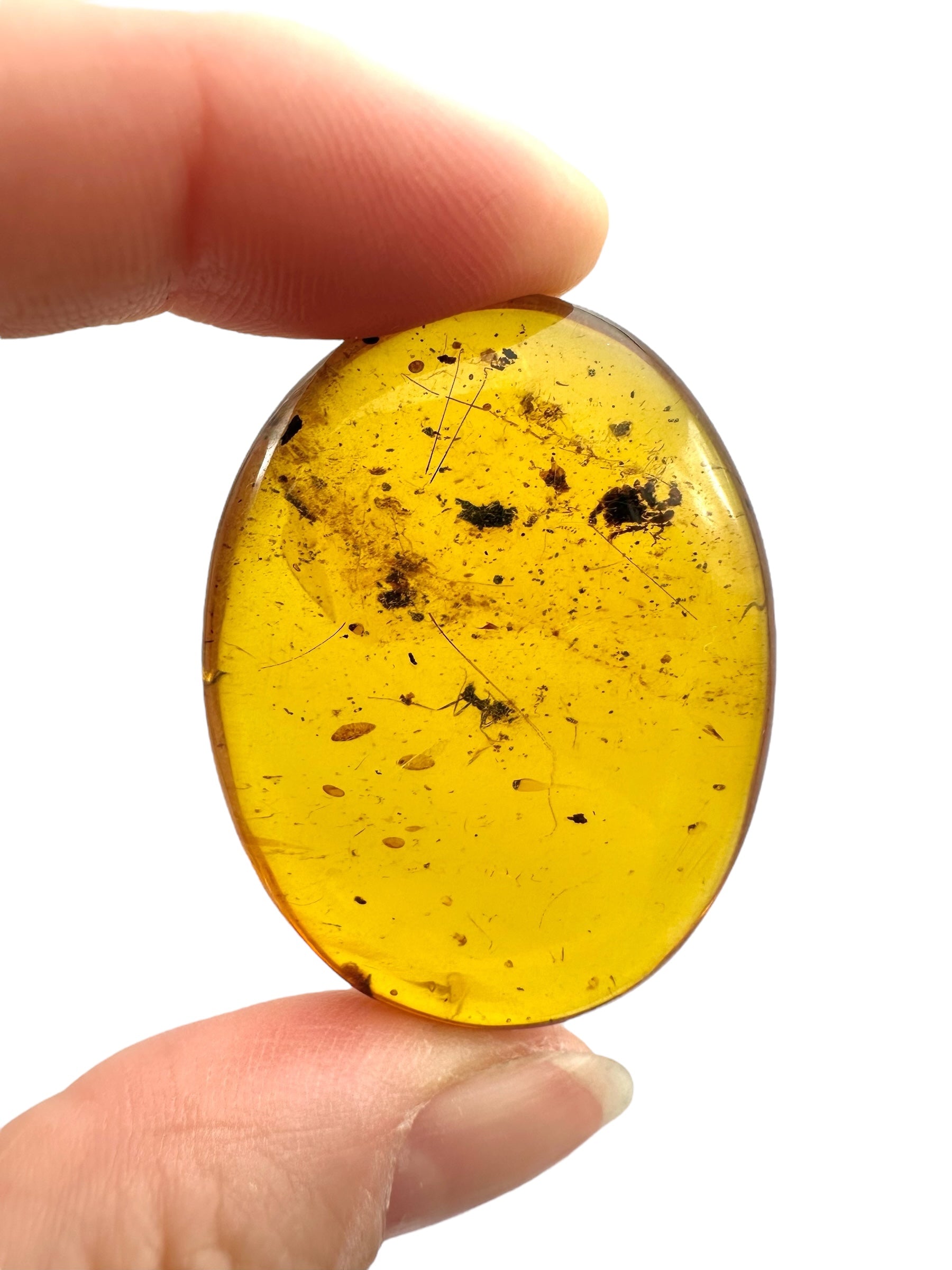 Insect in amber – Hukawng, Myanmar - IJ079
