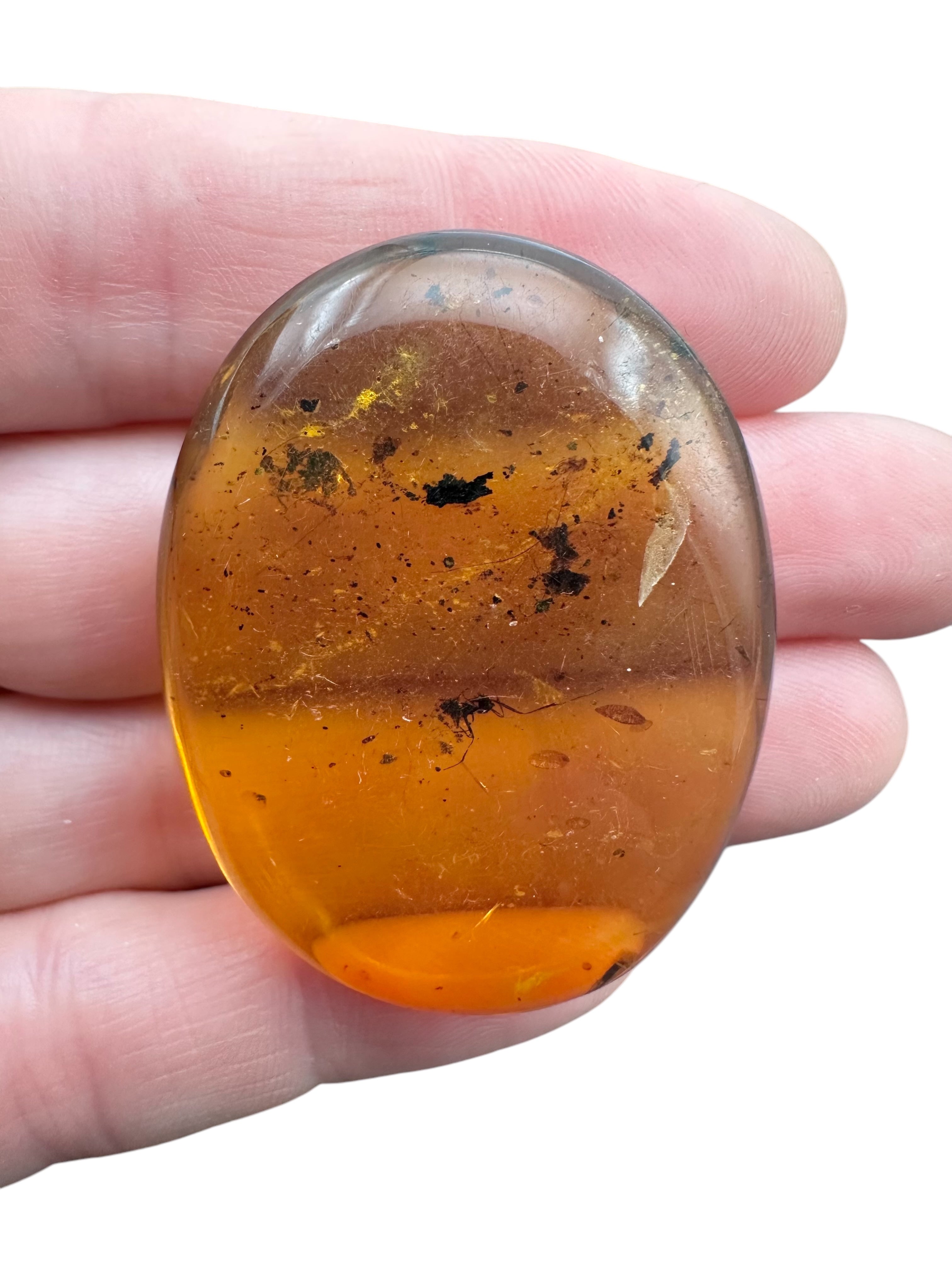 Insect in amber – Hukawng, Myanmar - IJ079