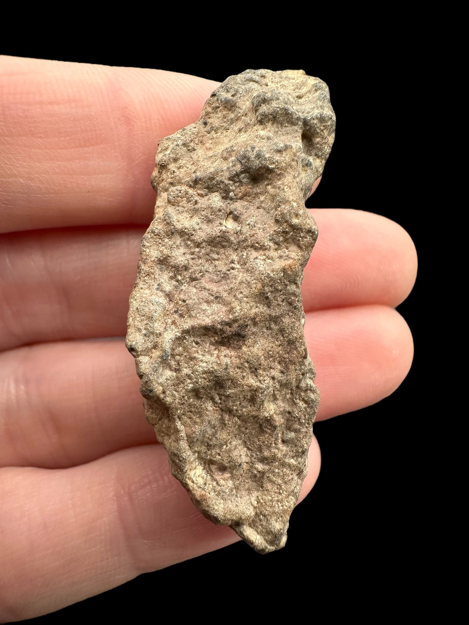 Meteorite Bechar 008, Howardite 13g – Algeria - MEBE30