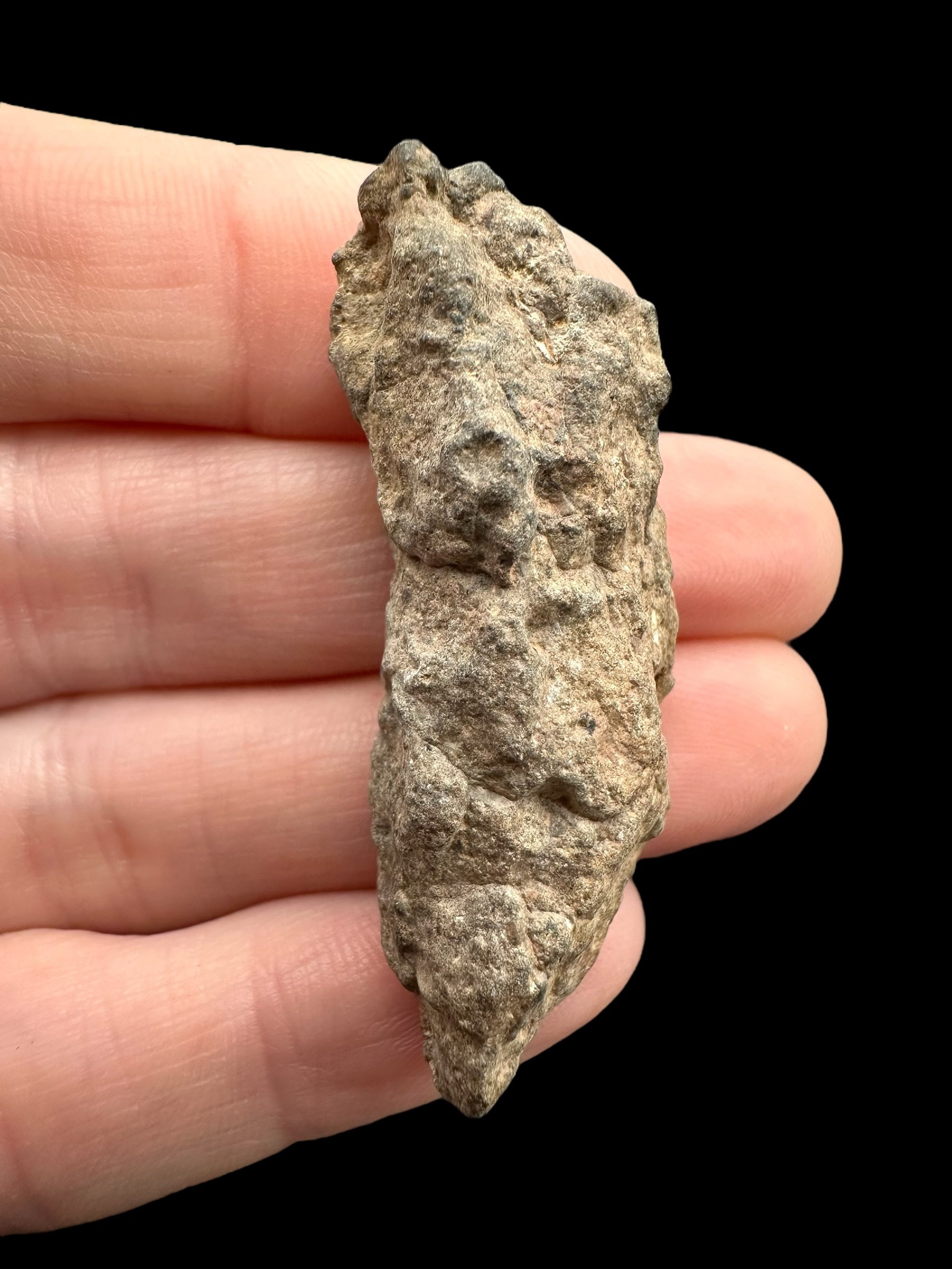 Meteorite Bechar 008, Howardite 13g – Algeria