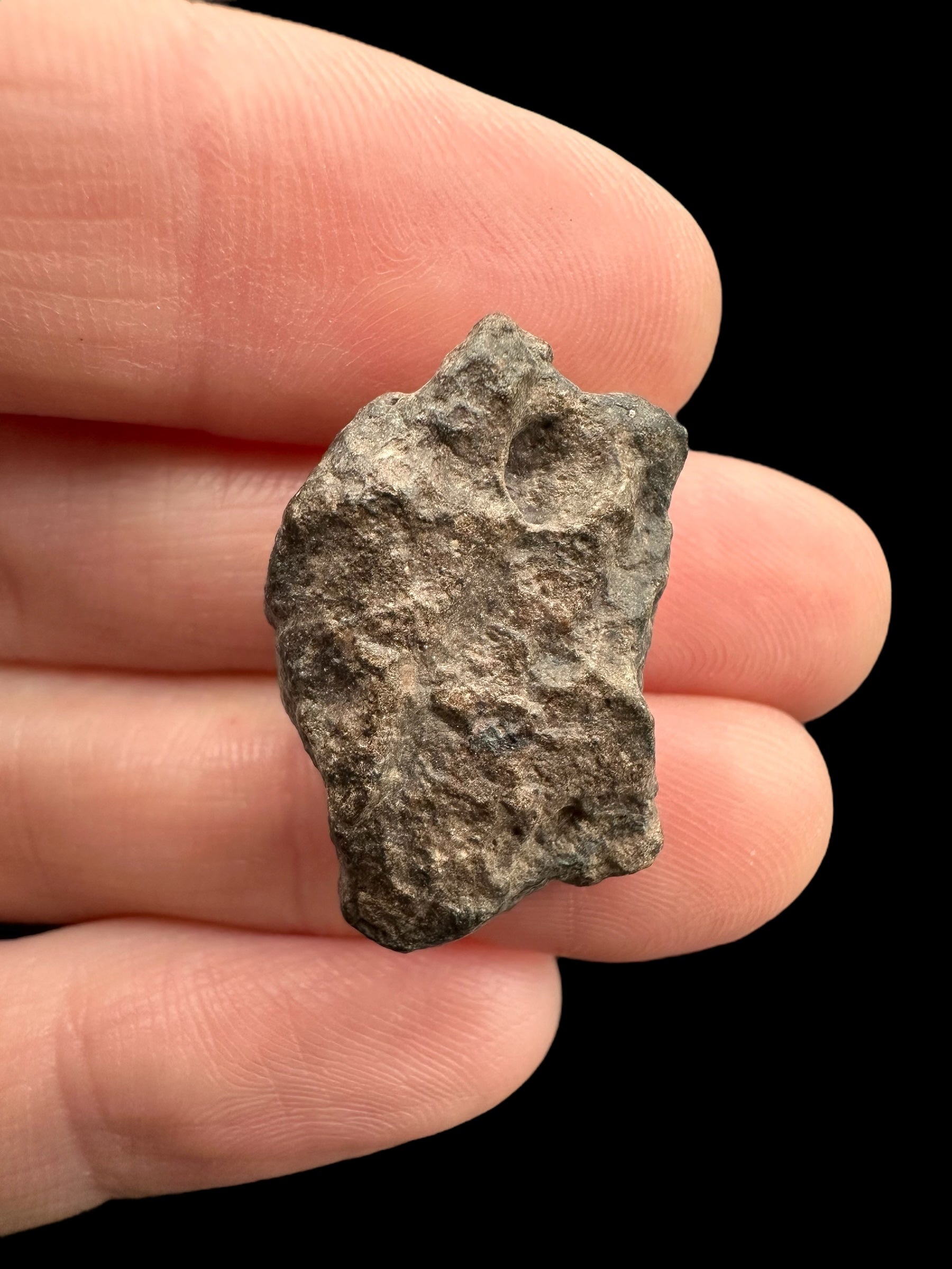 Meteorite Bechar 008, Howardite 4,9g – Algeria - MEBE33