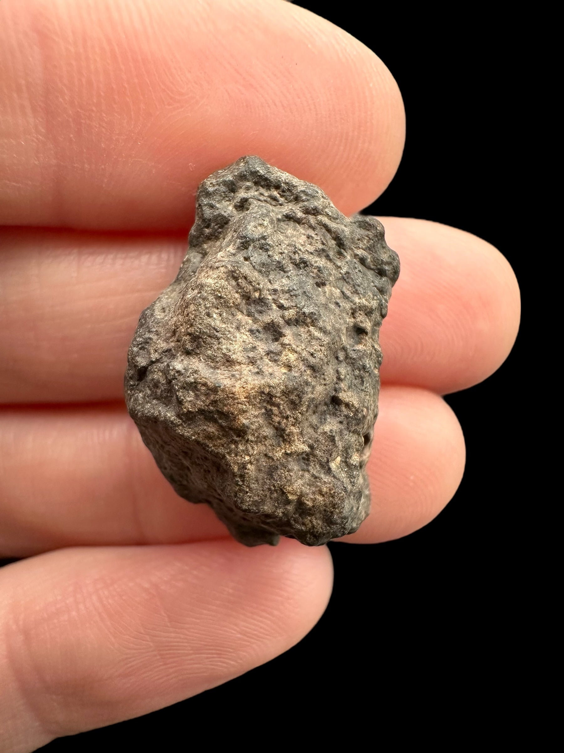 Meteorite Bechar 008, Howardite 4,9g – Algeria