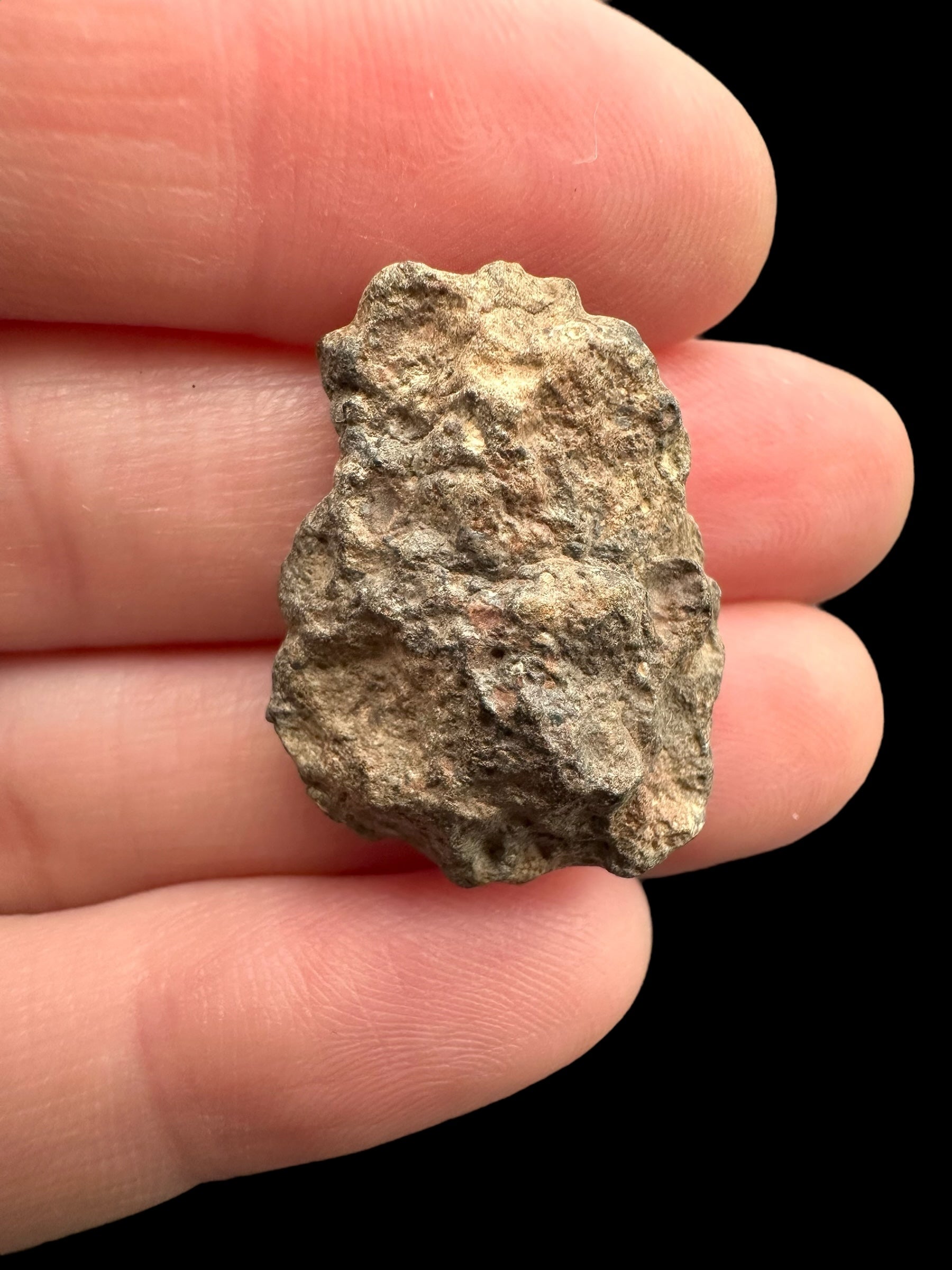 Meteorite Bechar 008, Howardite 5,3g – Algeria