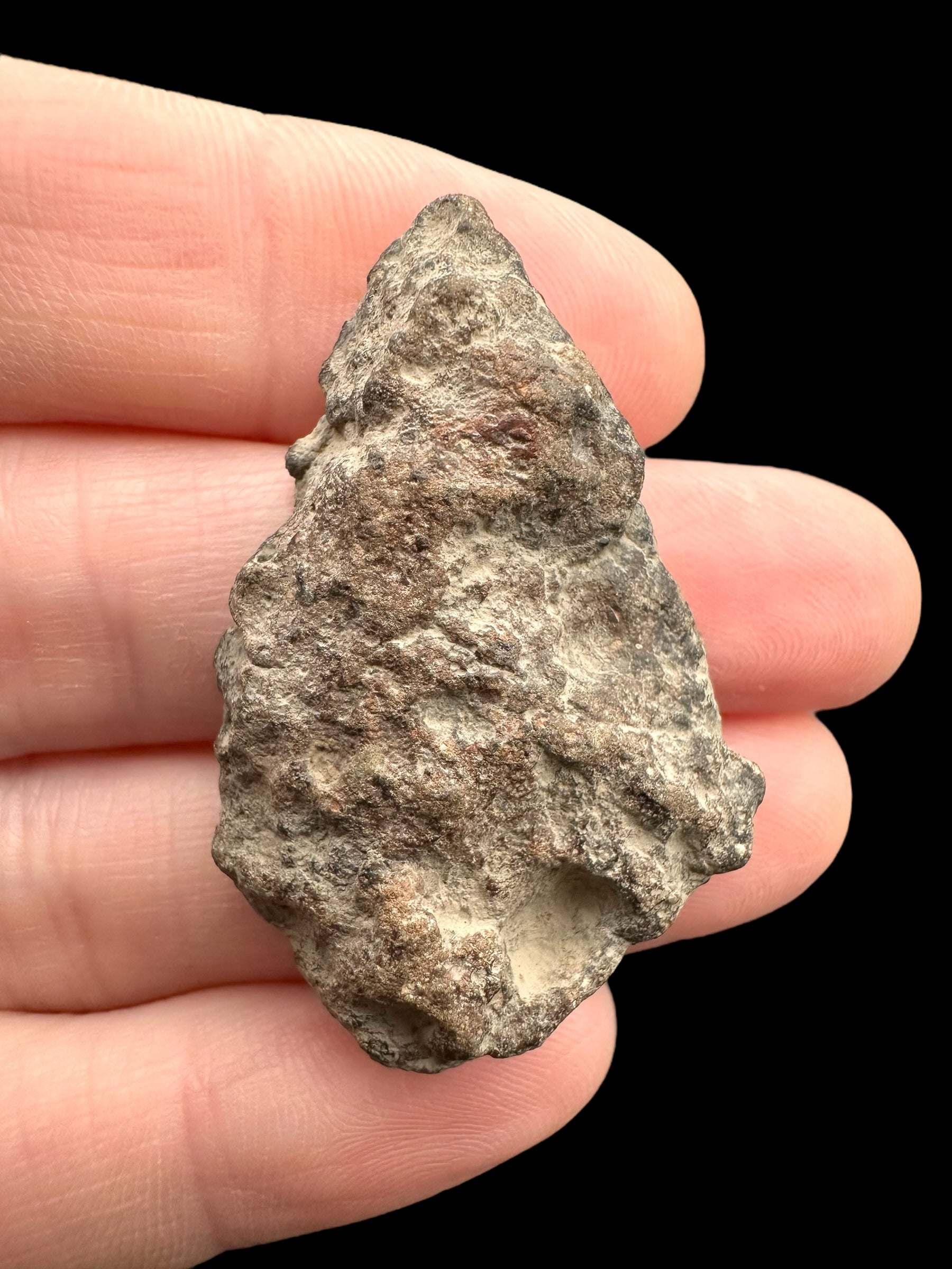 Meteorite Bechar 008, Howardite 10,5g – Algeria - MEBE38