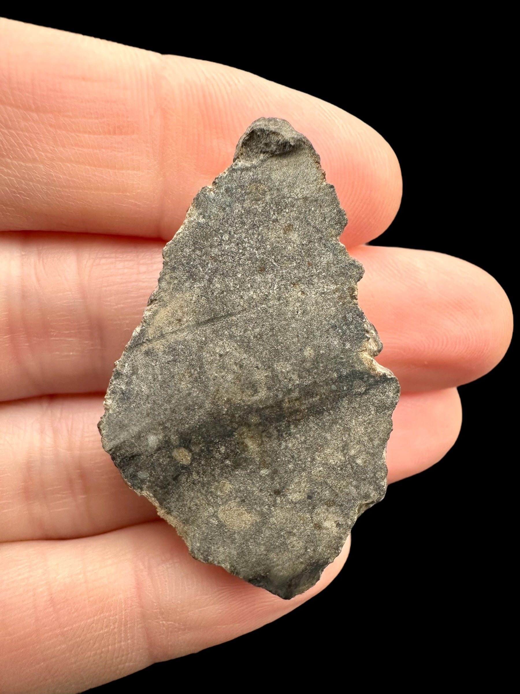 Meteorite Bechar 008, Howardite 10,5g – Algeria