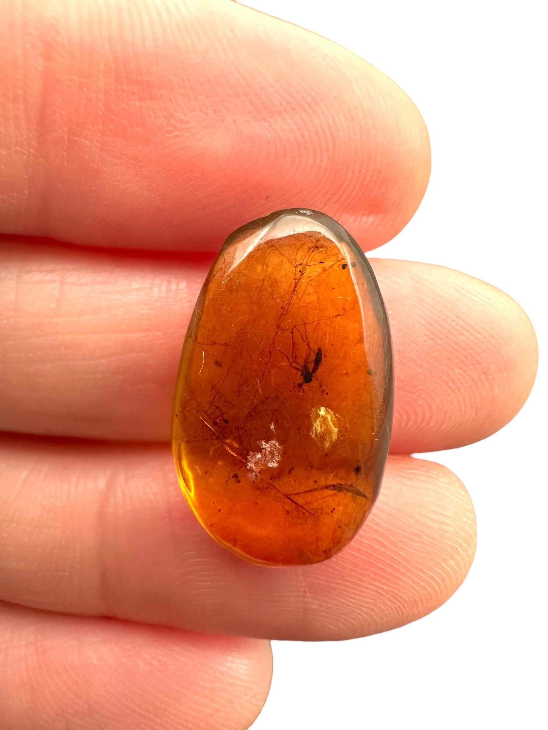 Insect in amber – Hukawng, Myanmar - IJ081