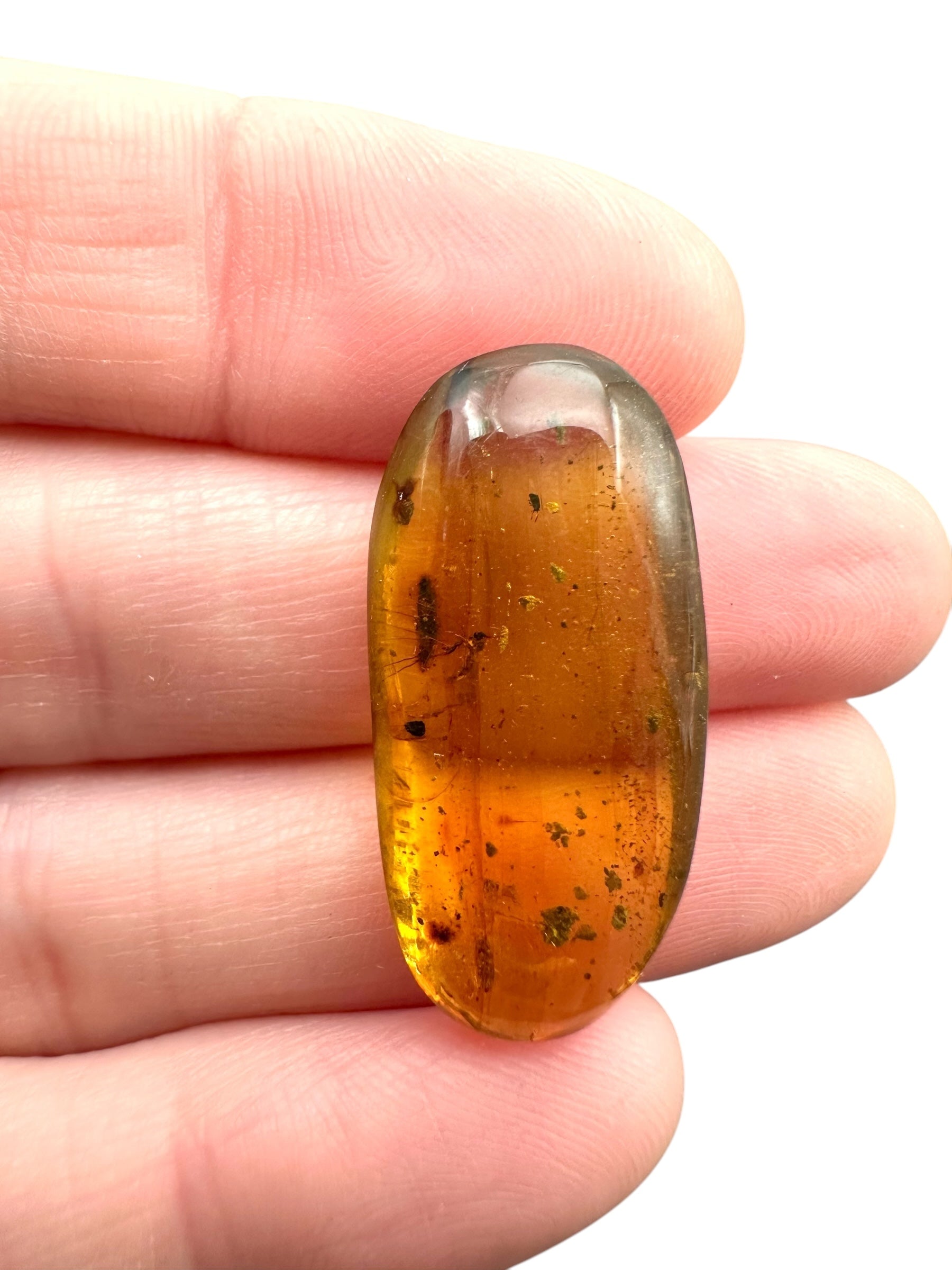 Insect in amber – Hukawng, Myanmar - IJ088