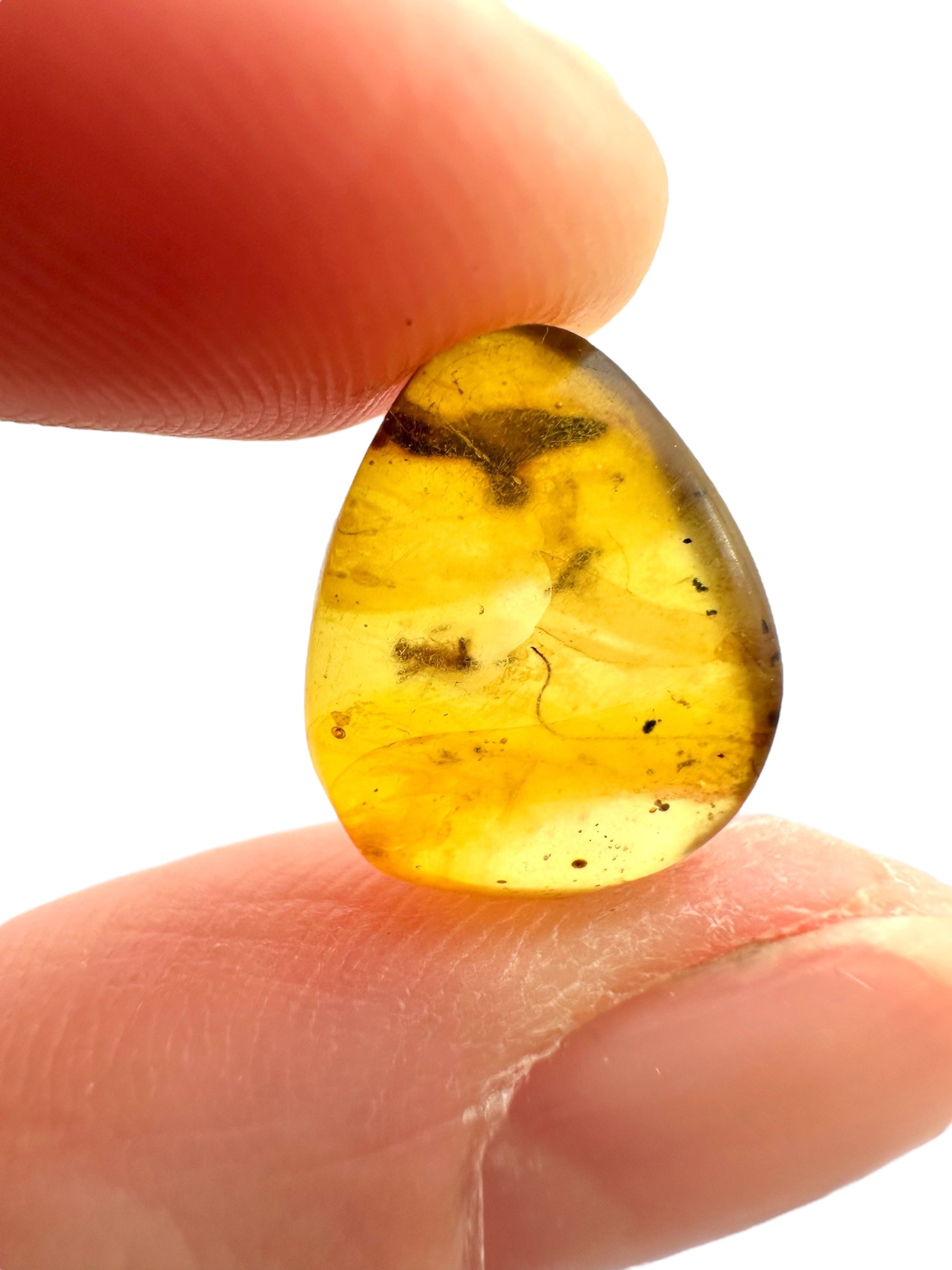 Insect in amber – Hukawng, Myanmar - IJ089