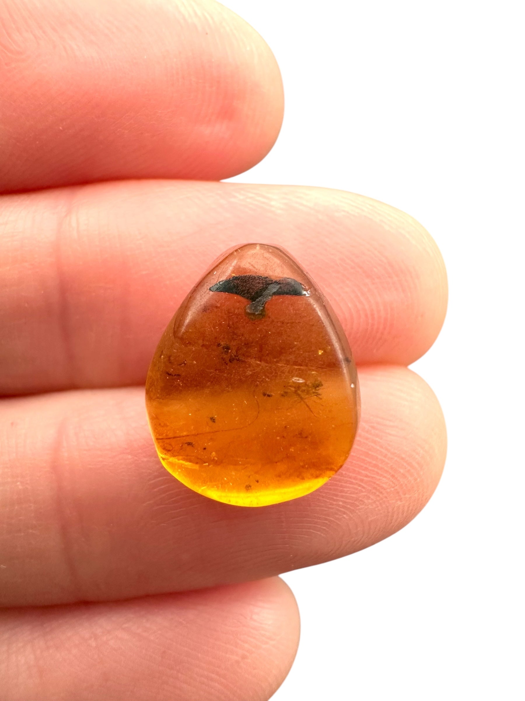 Insect in amber – Hukawng, Myanmar - IJ089