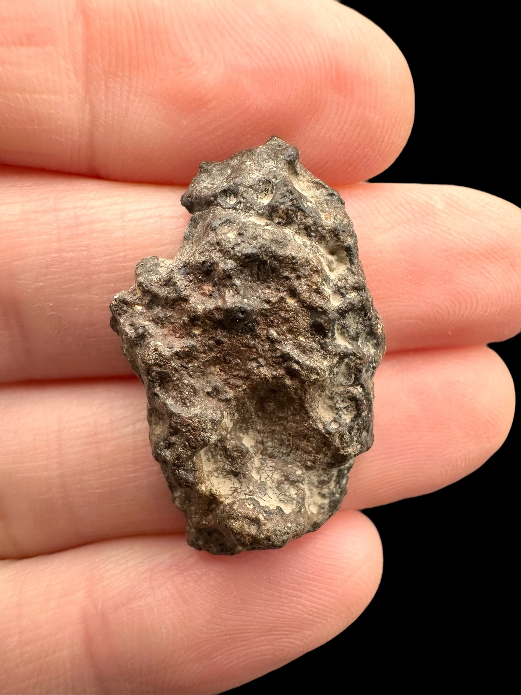 Meteorite Bechar 008, Howardite 4g – Algeria - MEBE39