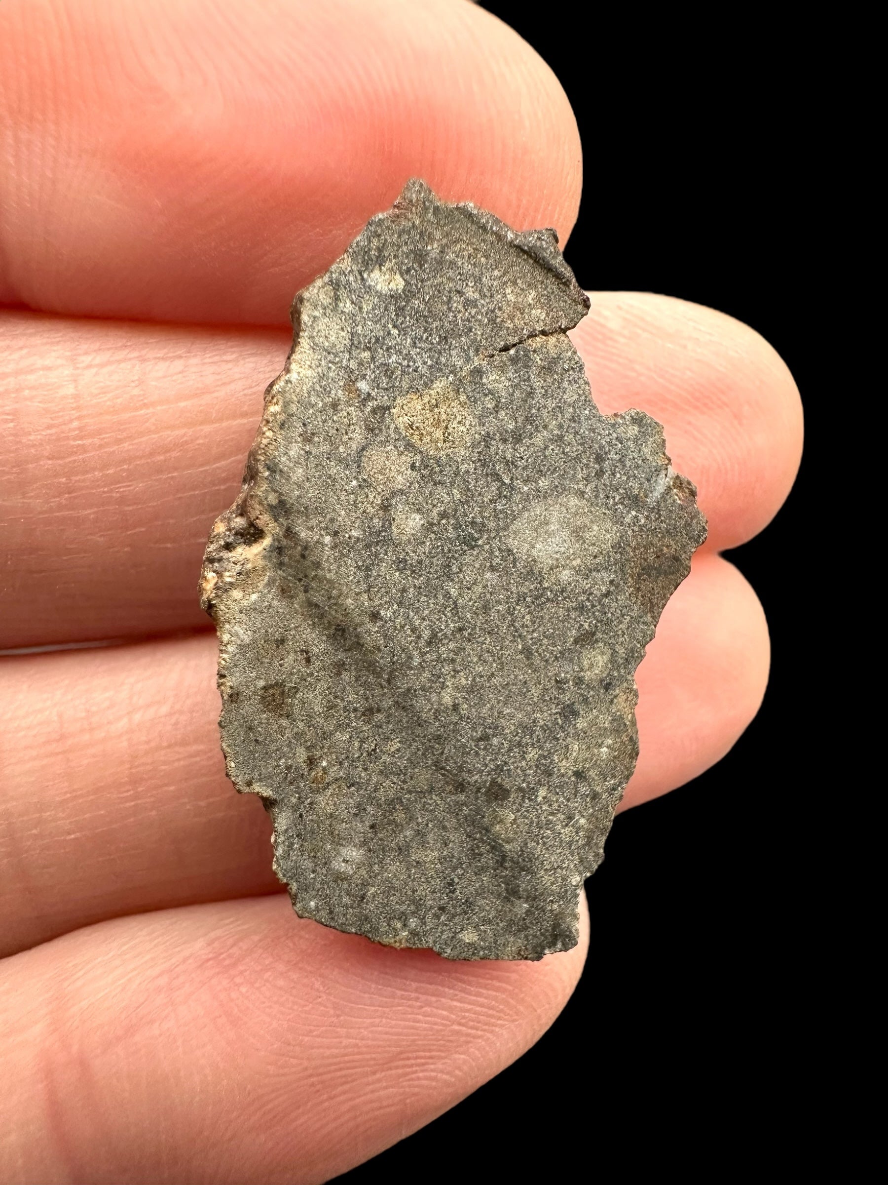 Meteorite Bechar 008, Howardite 4g – Algeria