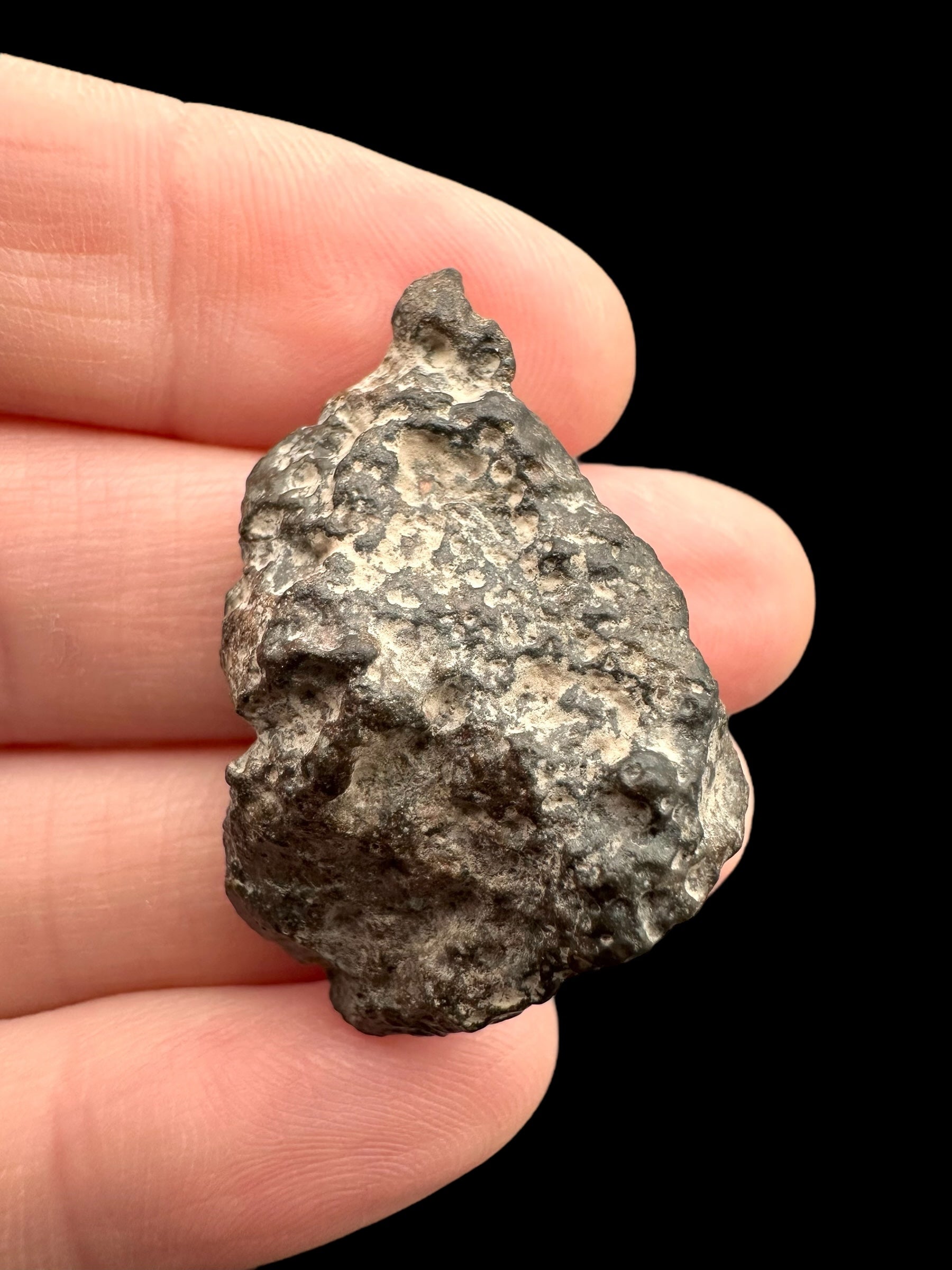 Meteorite Bechar 008, Howardite 9,8g – Algeria - MEBE40