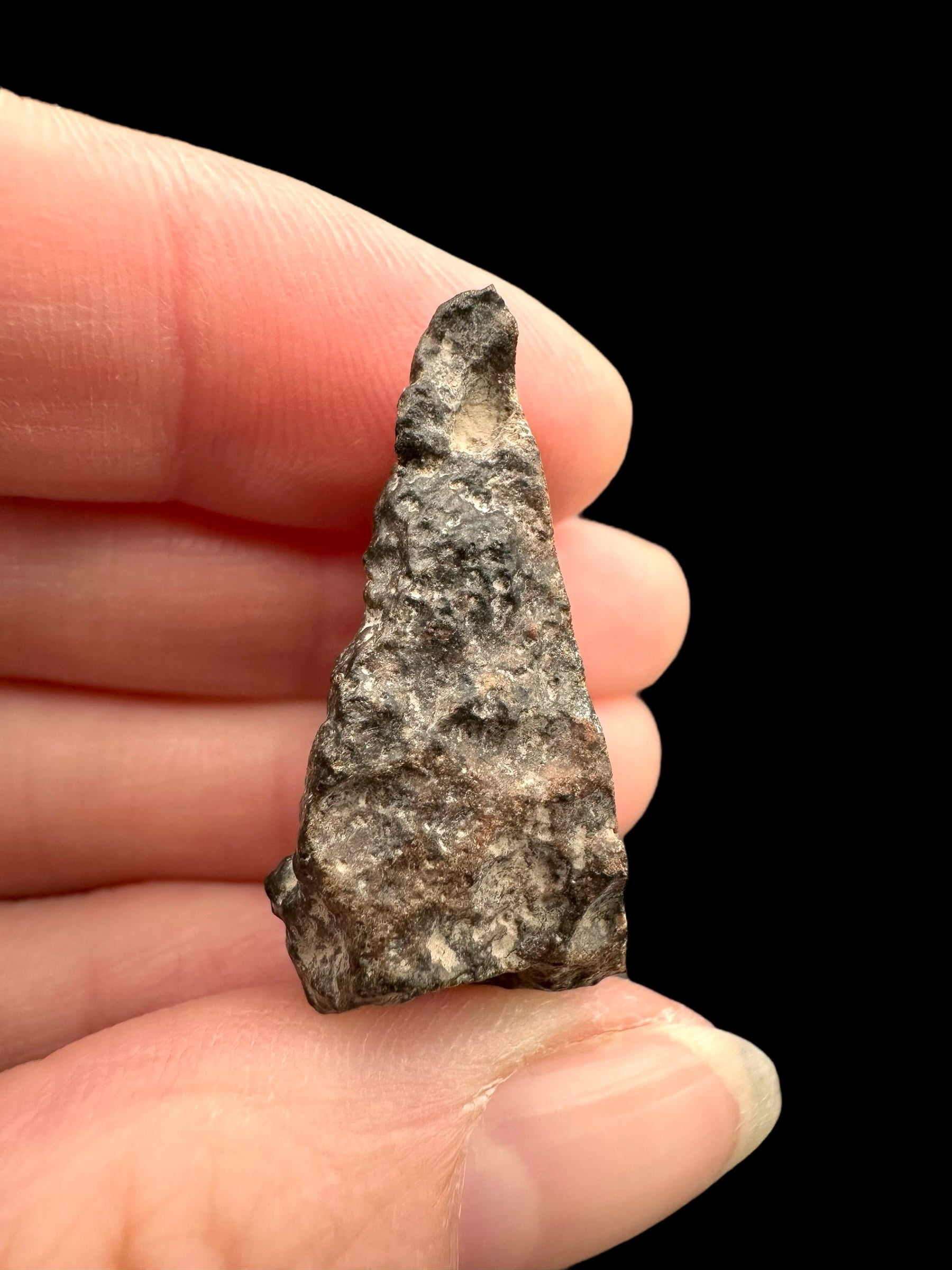 Meteorite Bechar 008, Howardite 9,8g – Algeria - MEBE40