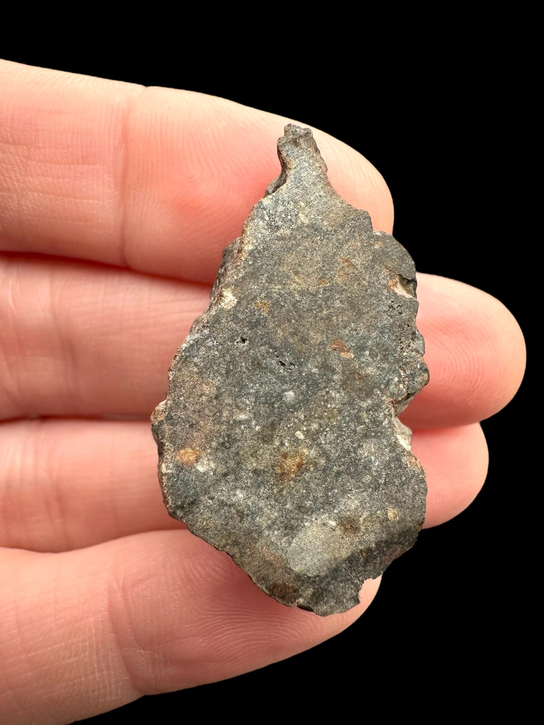 Meteorite Bechar 008, Howardite 9,8g – Algeria