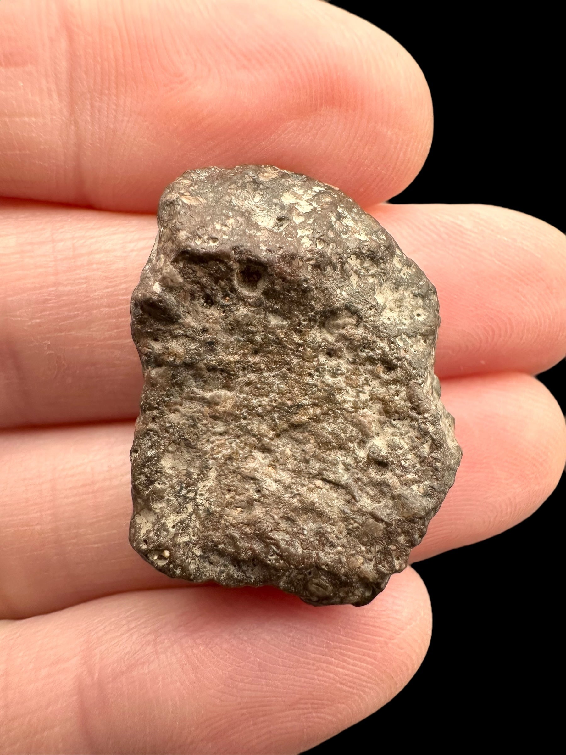 Meteorite Bechar 008, Howardite 4g – Algeria - MEBE41