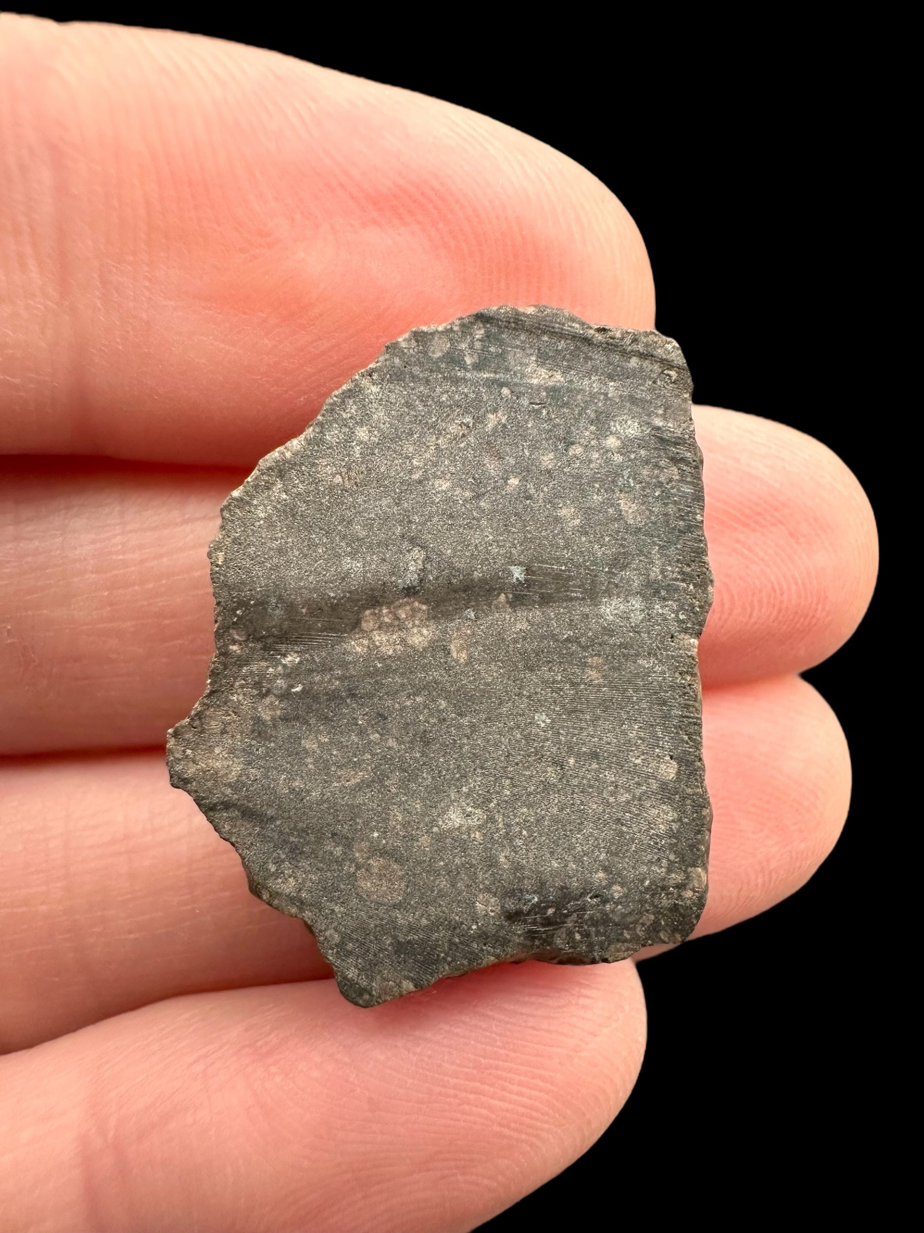 Meteorite Bechar 008, Howardite 4g – Algeria